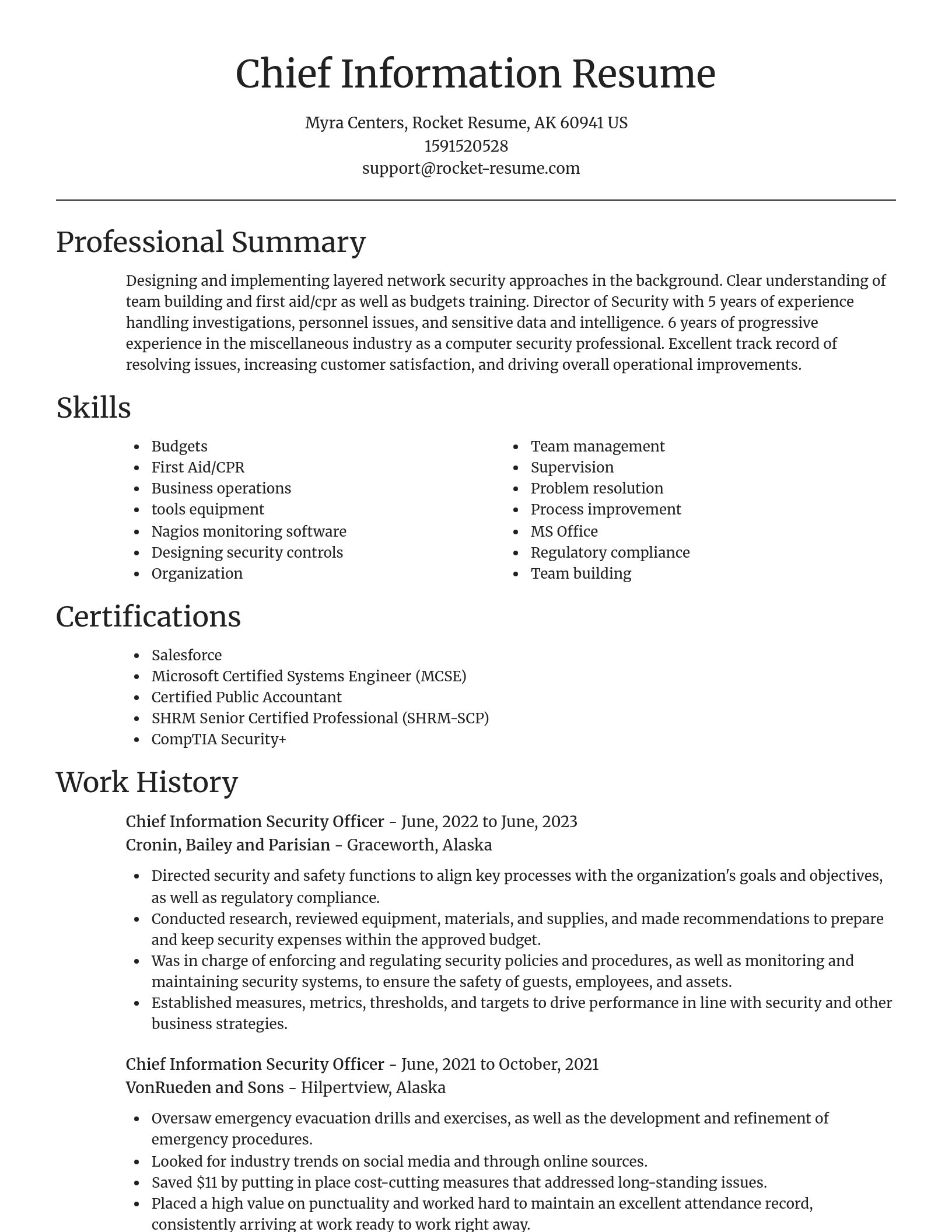 Focal Point resume template