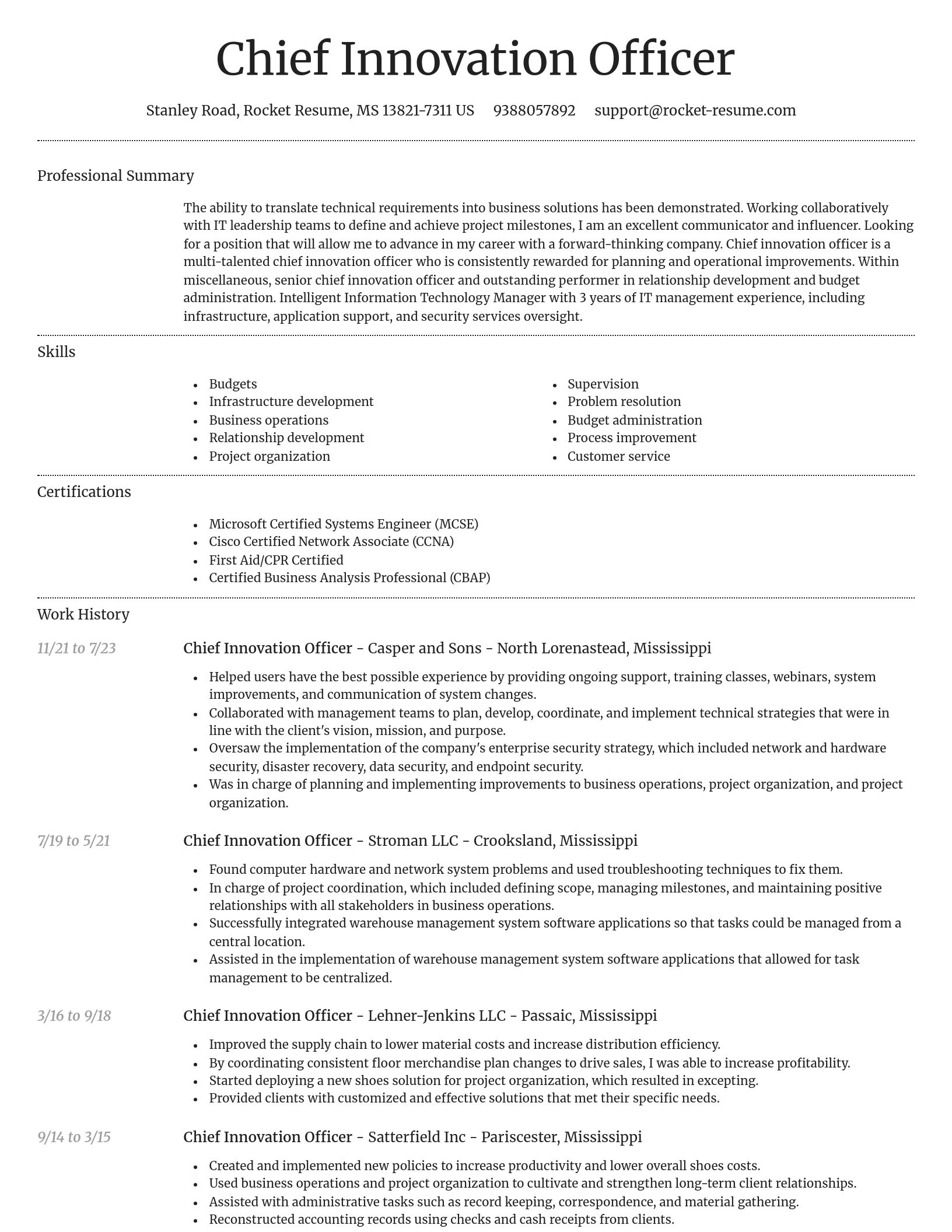Dignified resume template