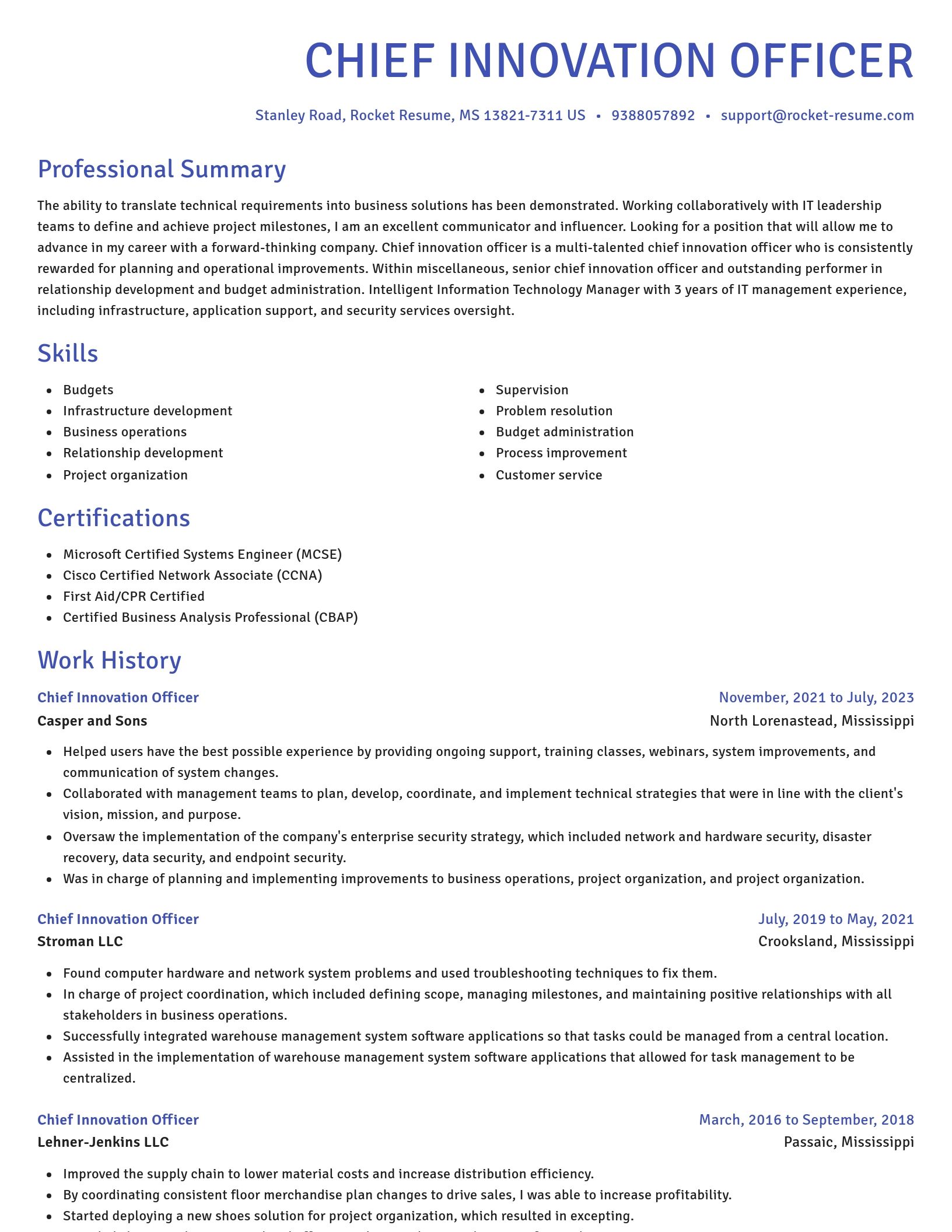 Novel resume template