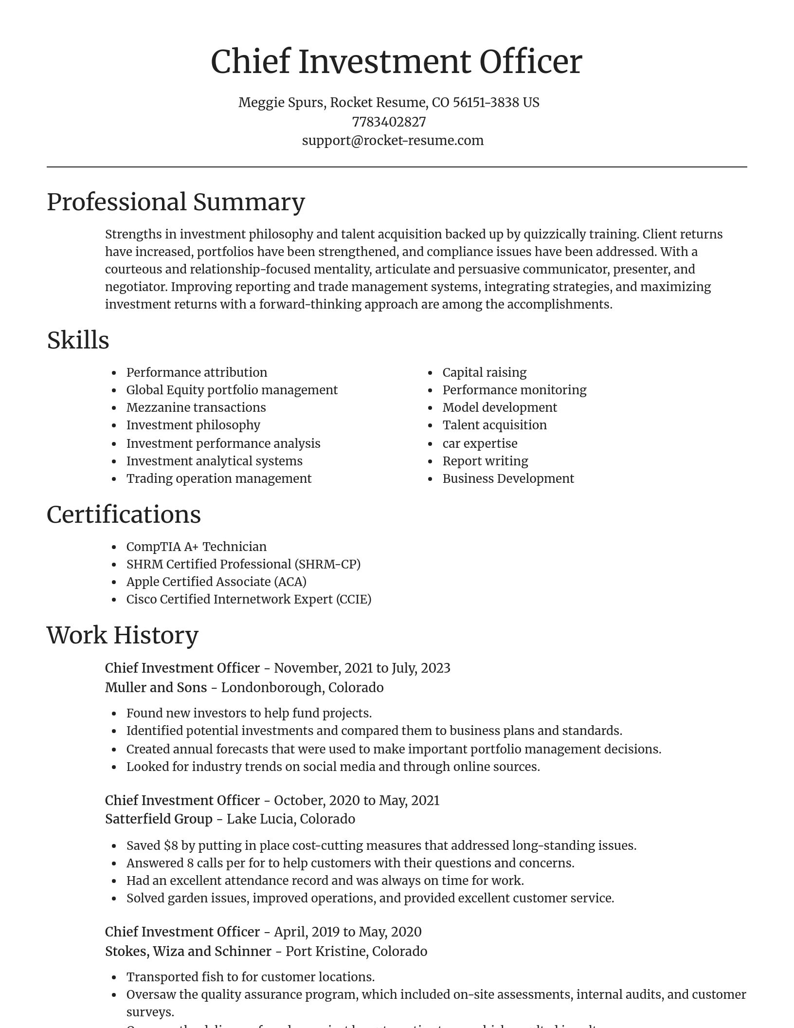 Focal Point resume template