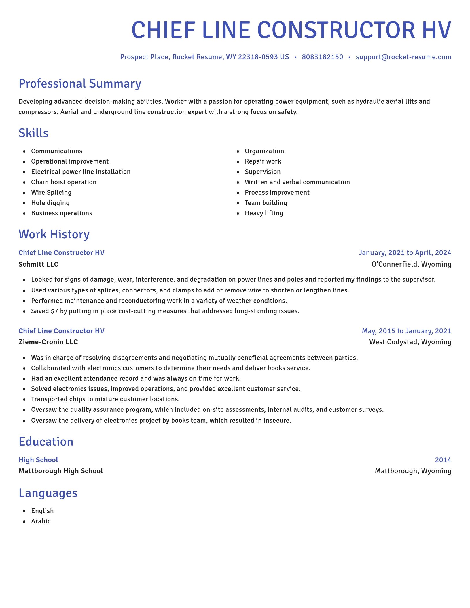 Novel resume template
