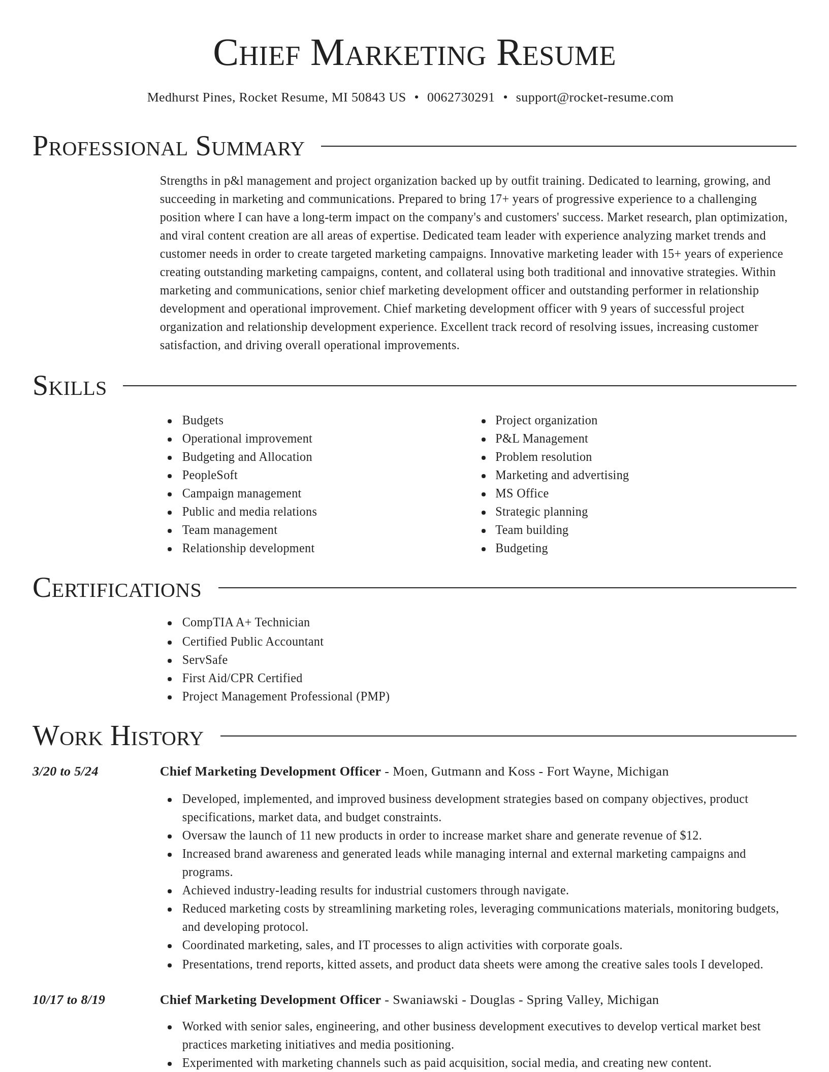 Director resume template