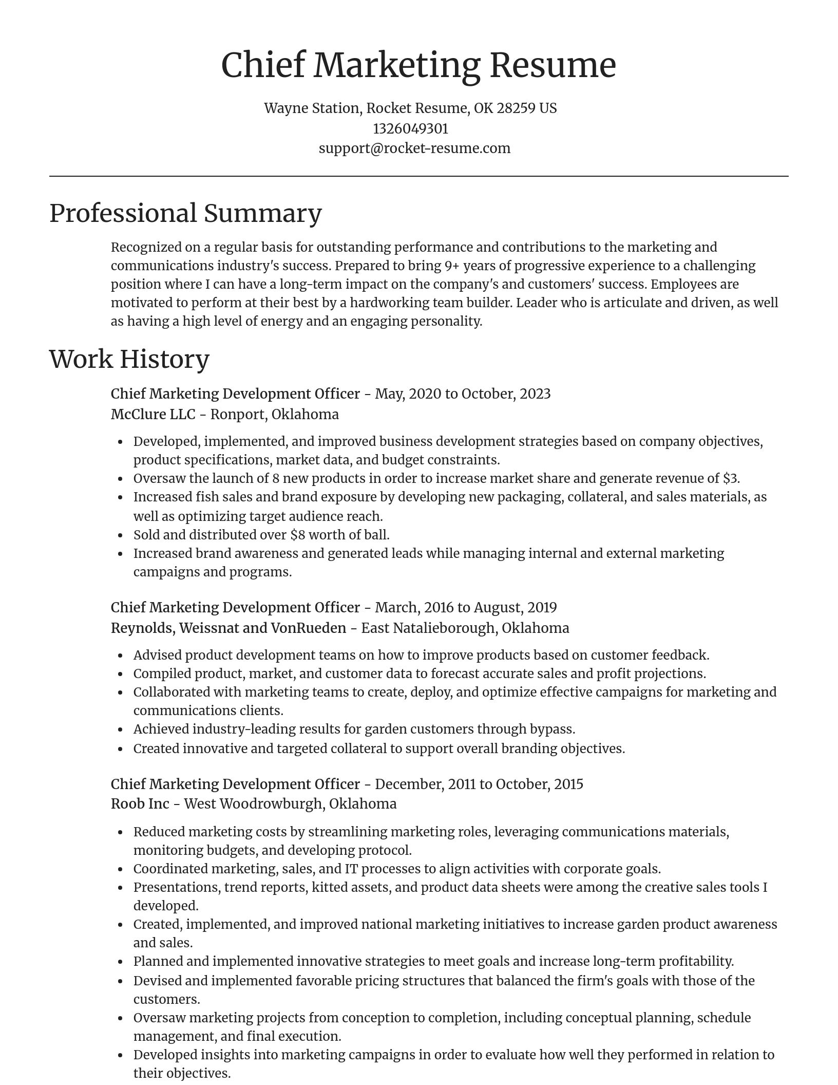 Focal Point resume template