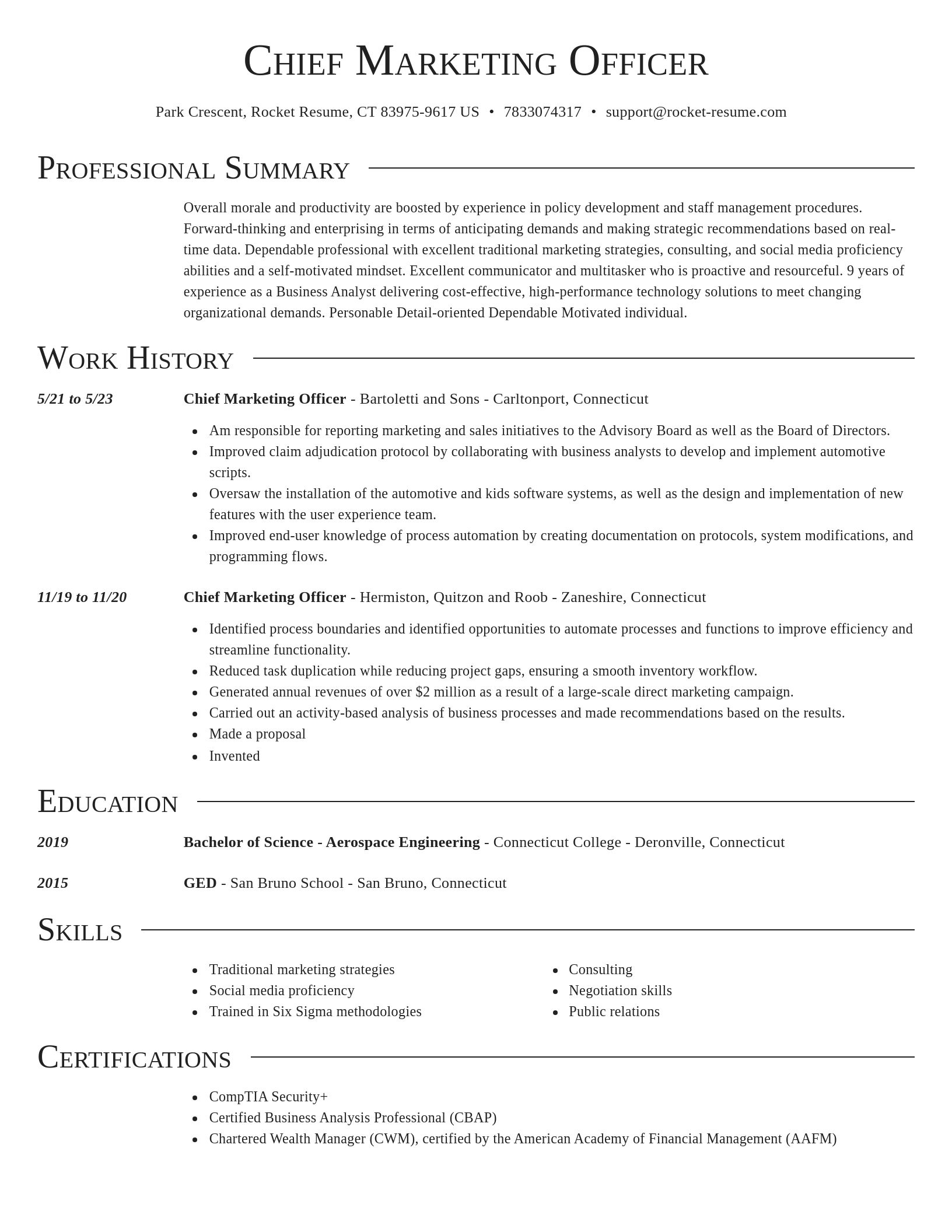 Director resume template