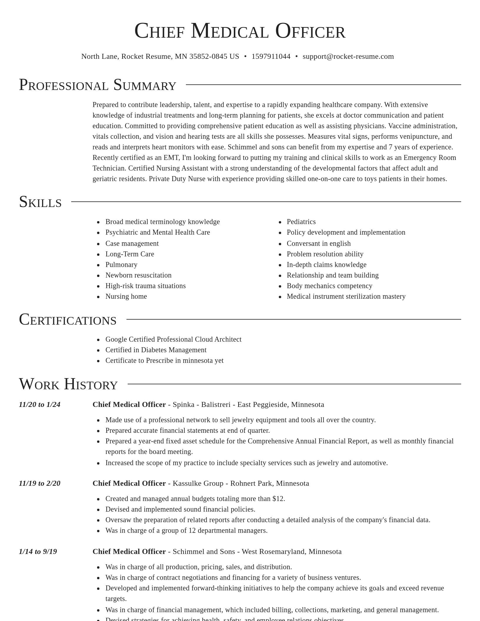 Director resume template