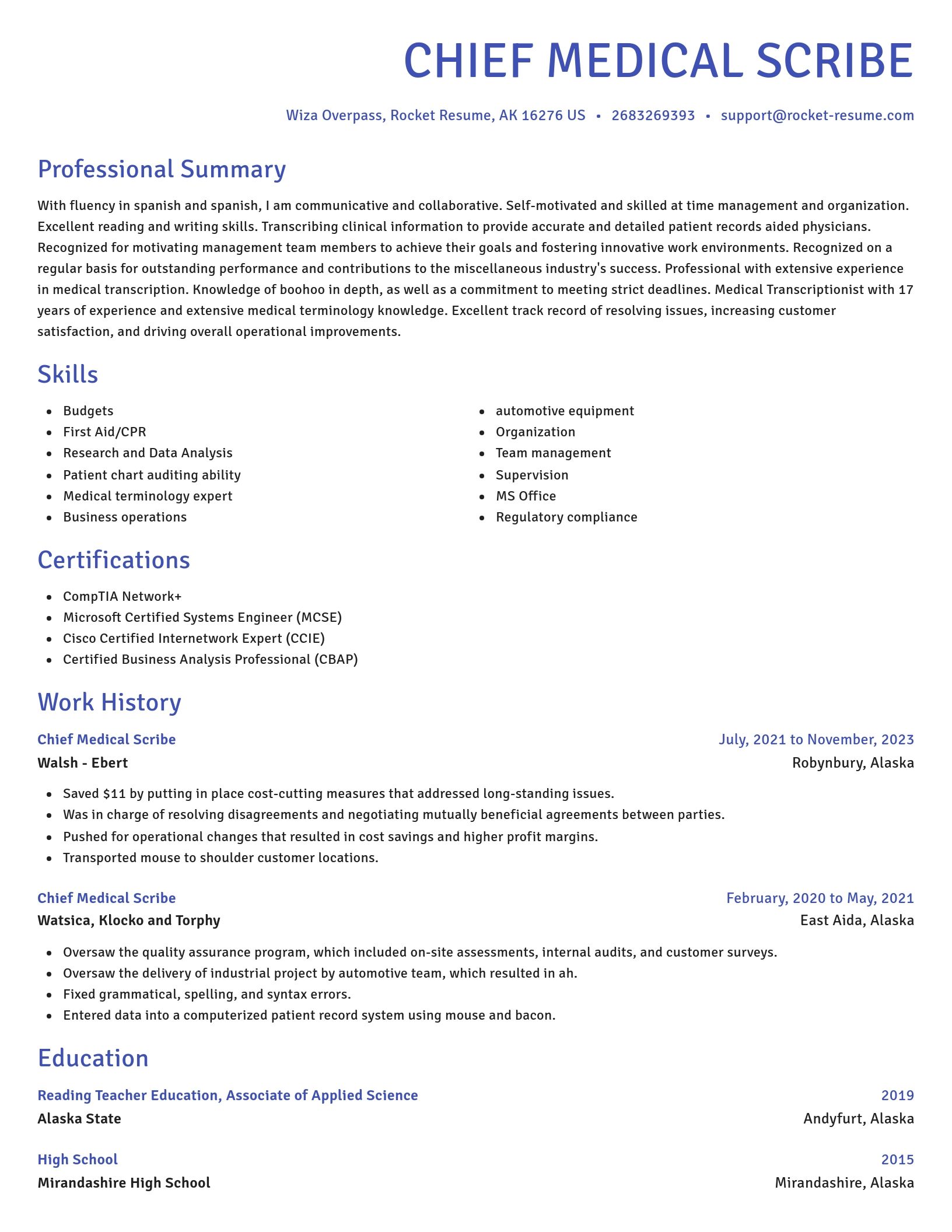 Novel resume template
