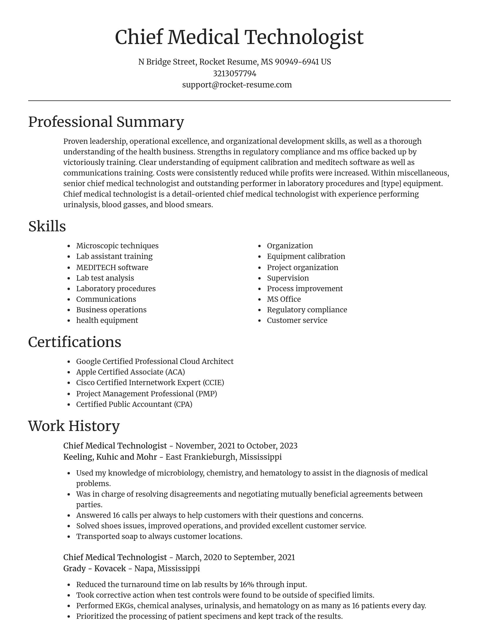 Focal Point resume template