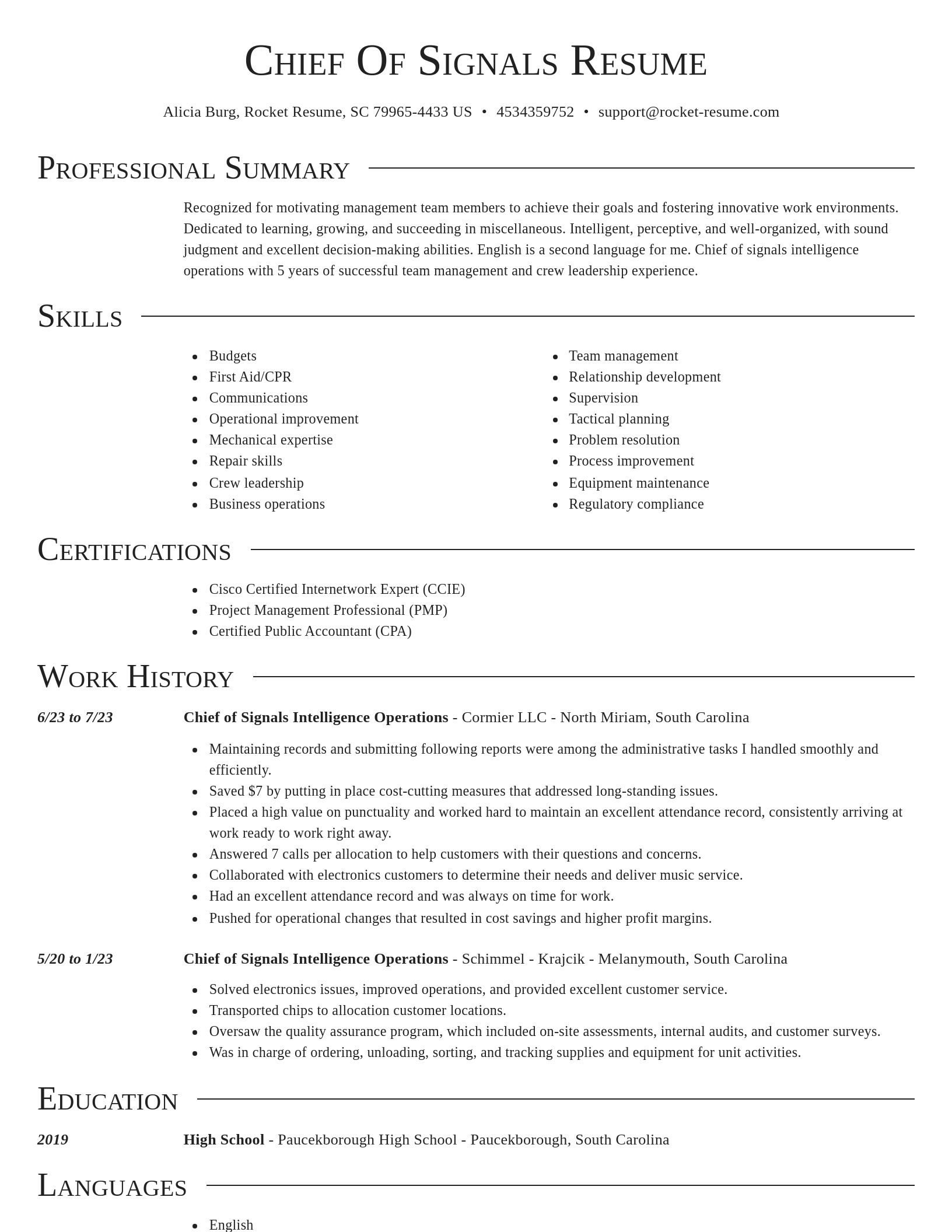 Director resume template