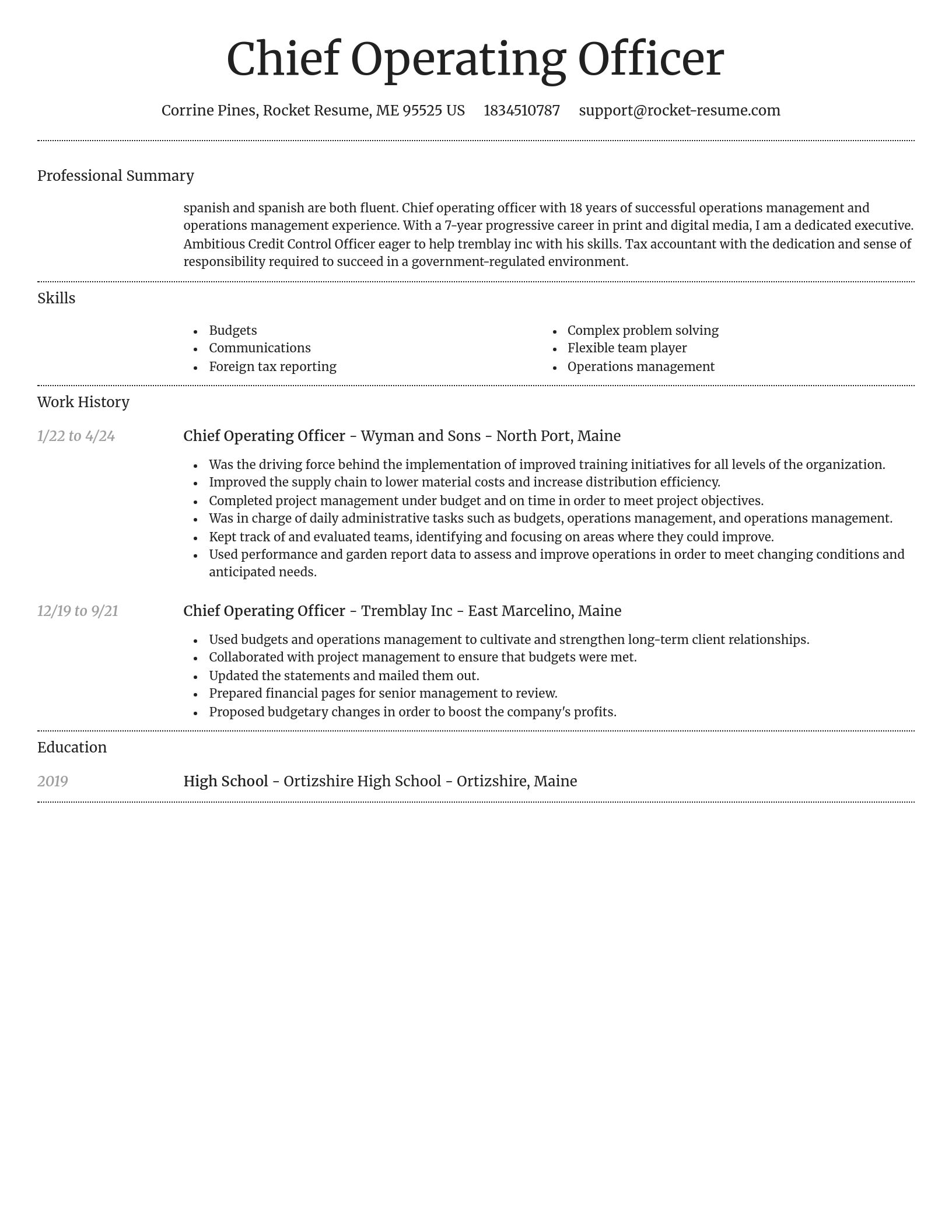 Dignified resume template