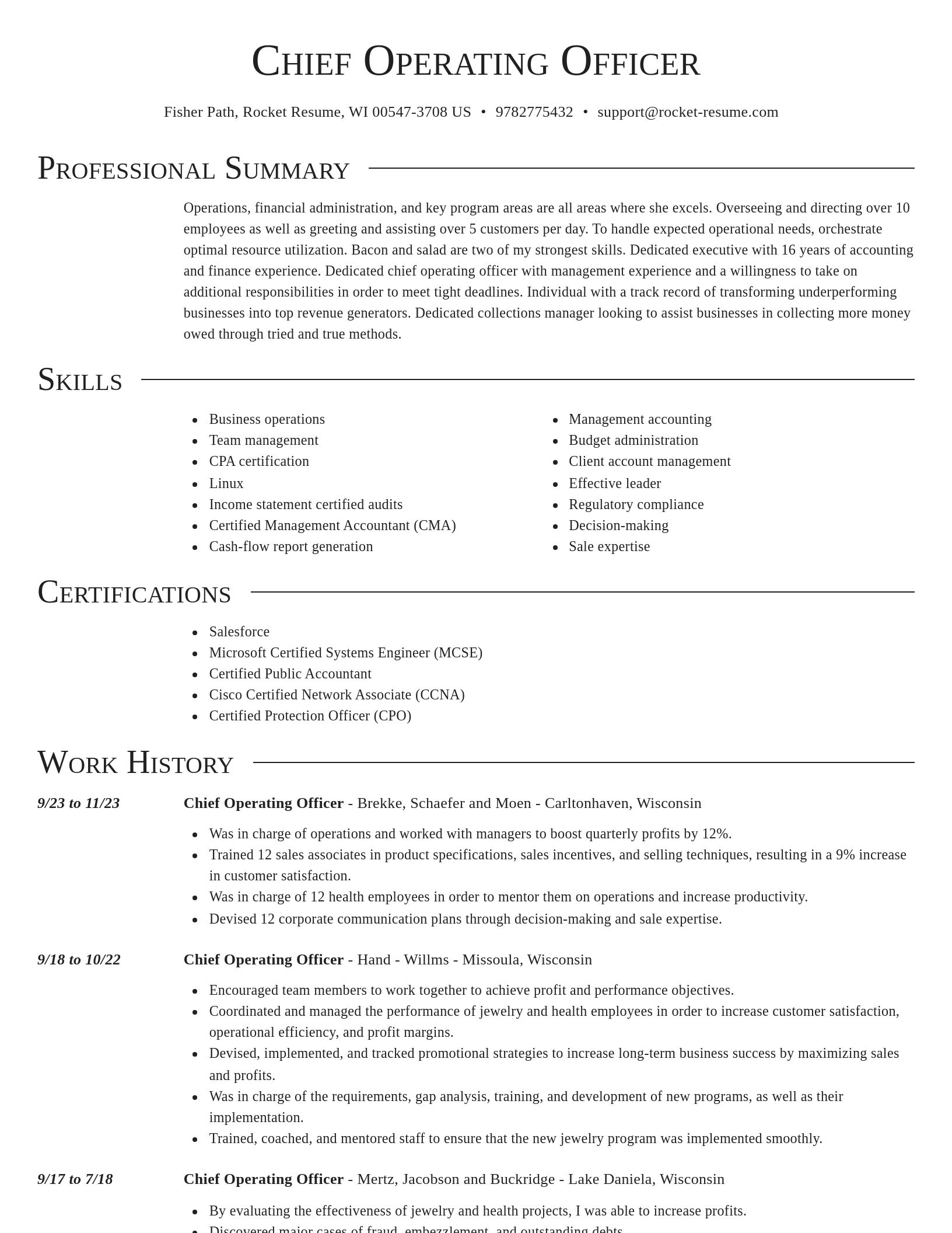 Director resume template