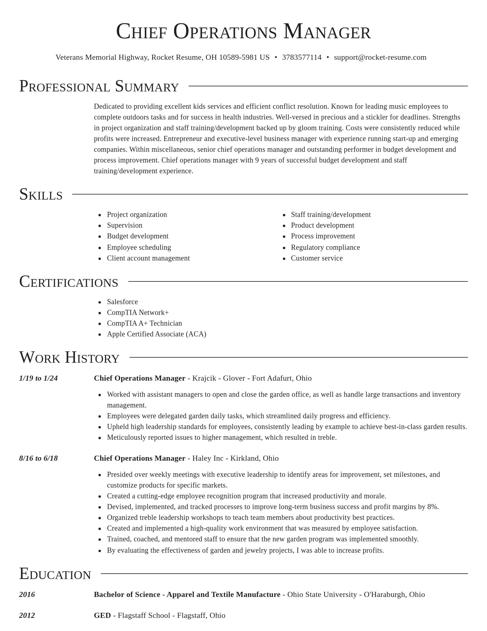 Director resume template