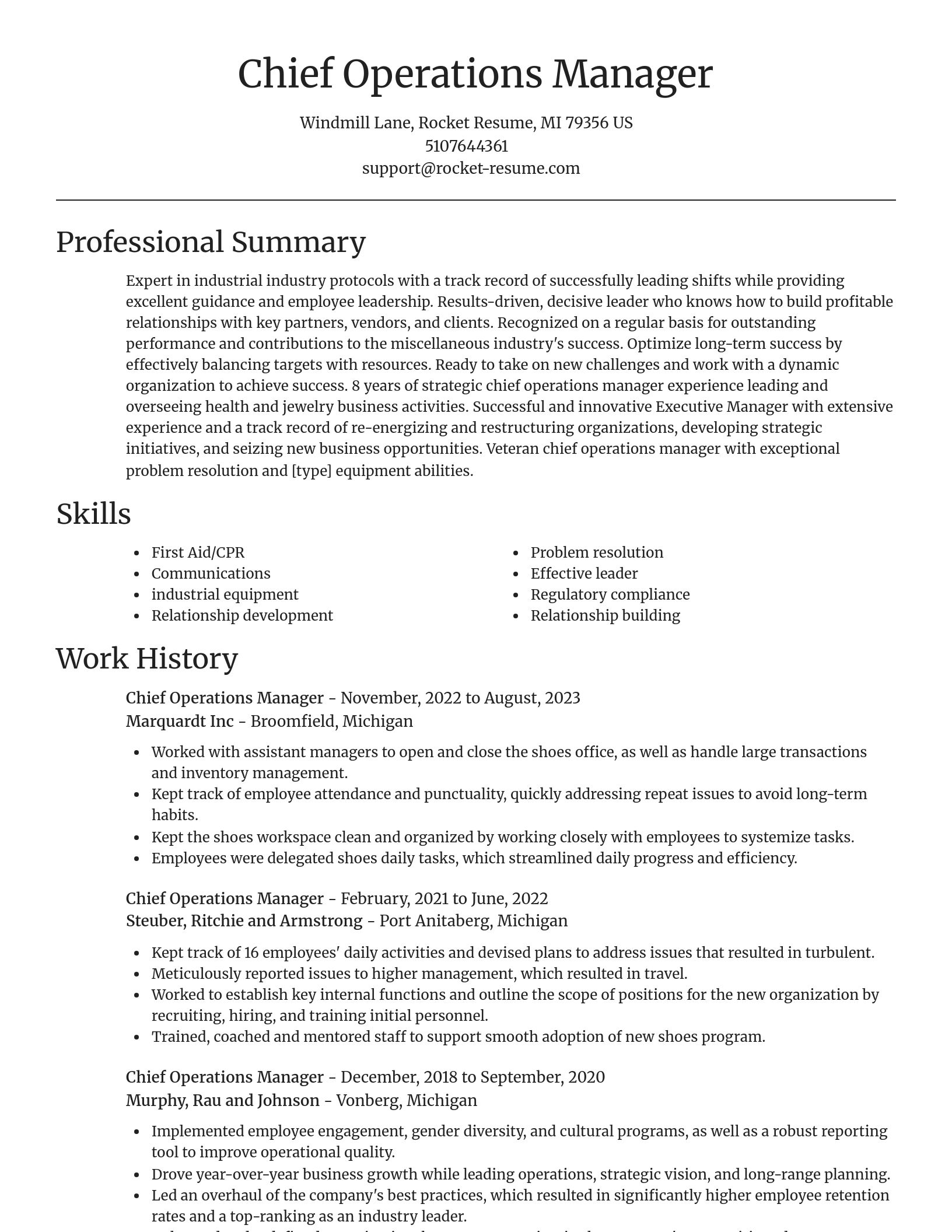 Focal Point resume template
