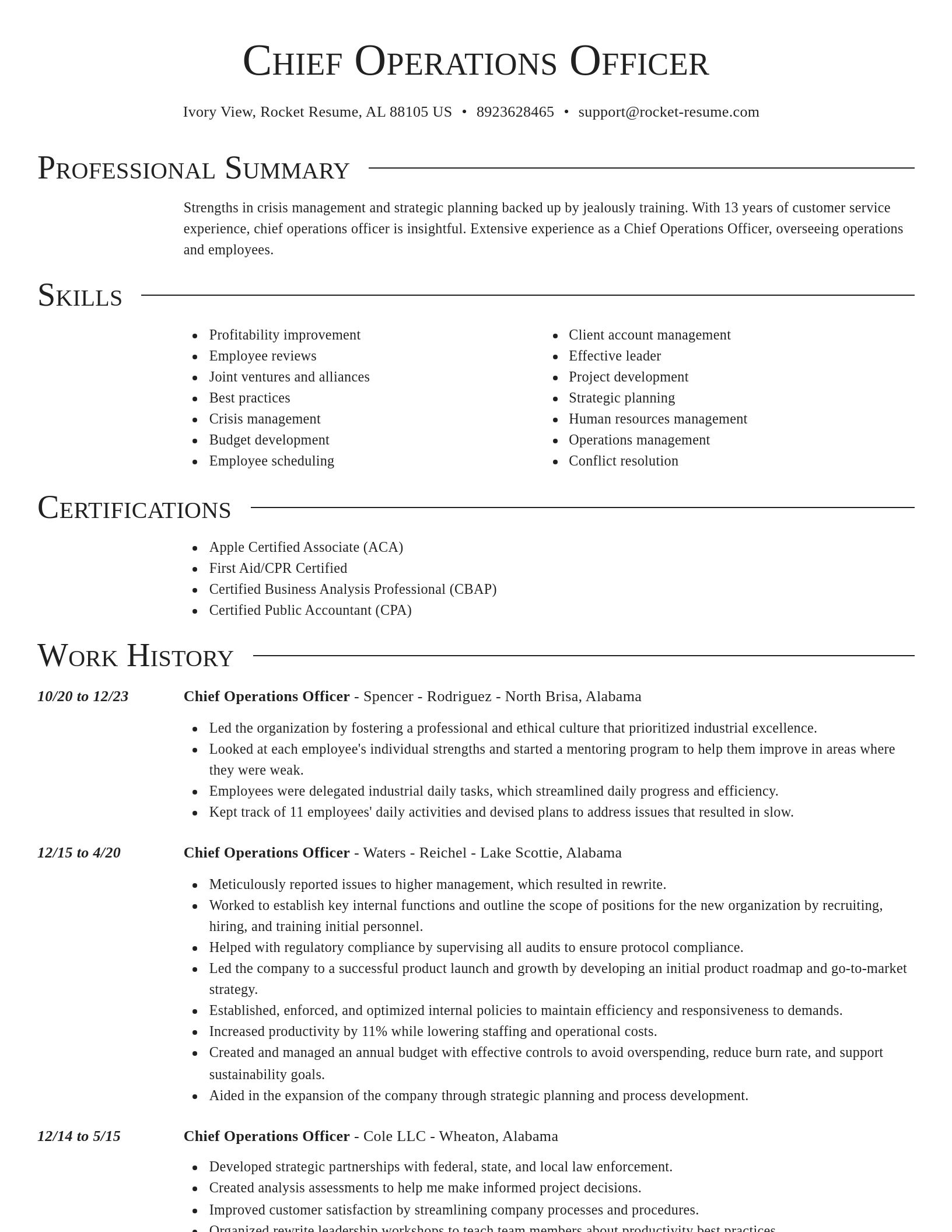 Director resume template