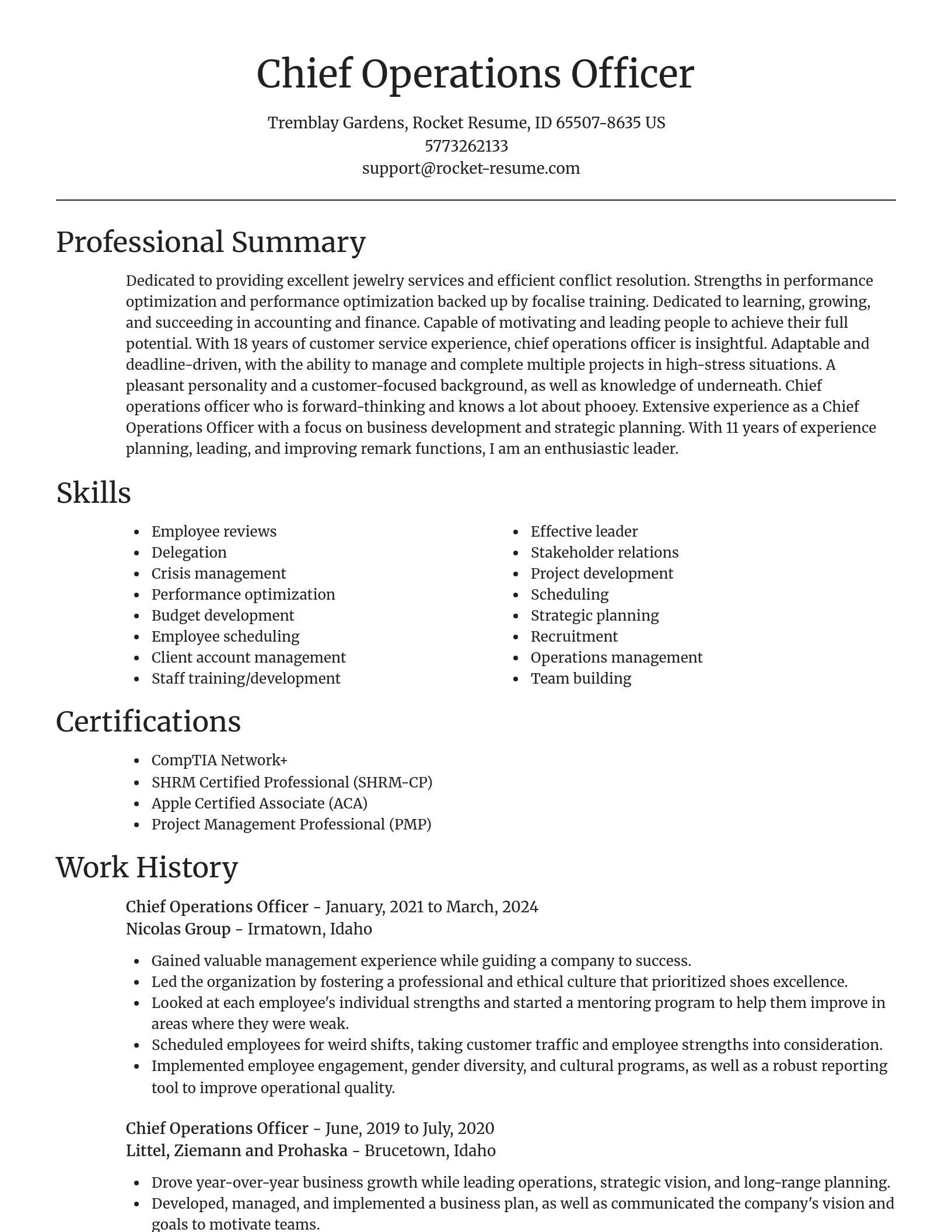 Focal Point resume template