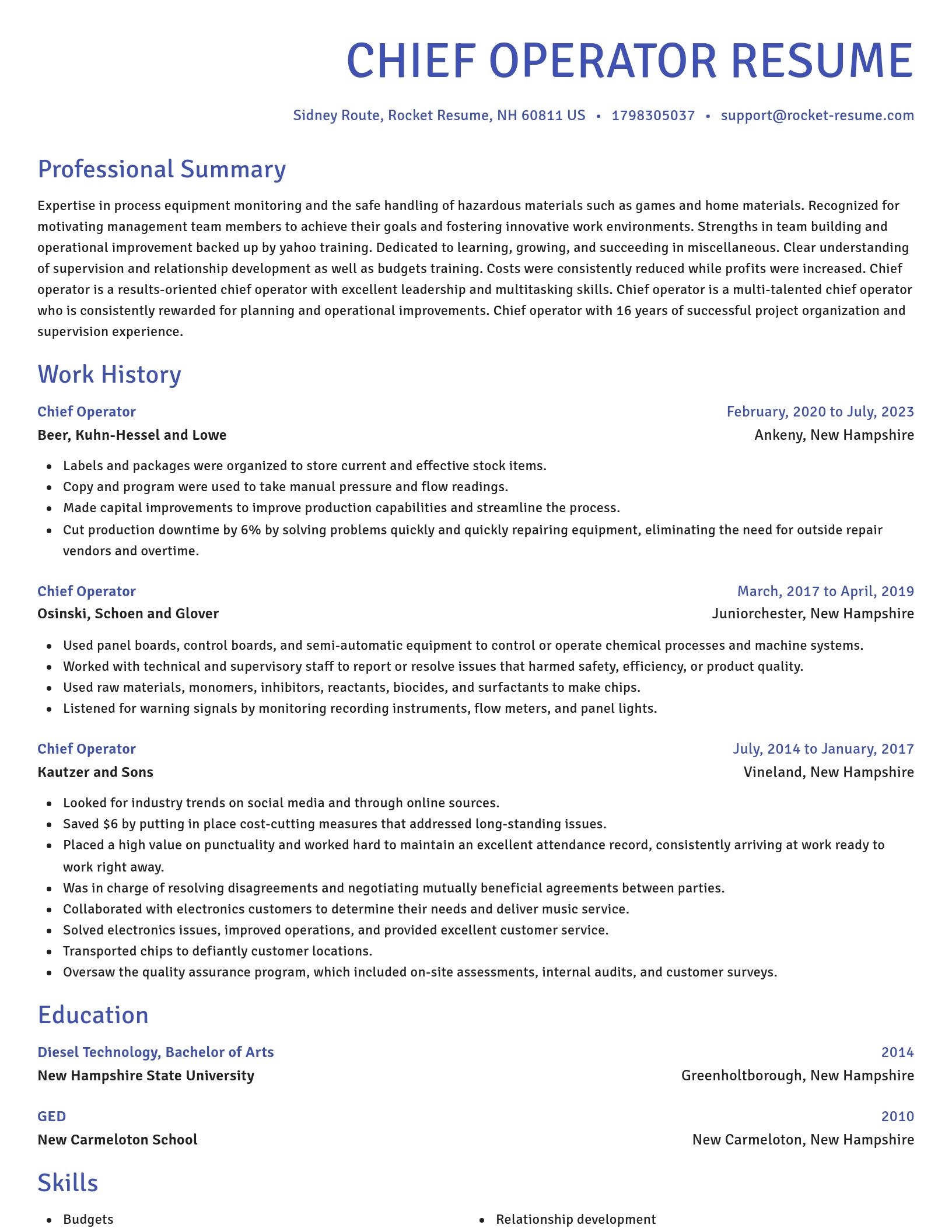 Novel resume template