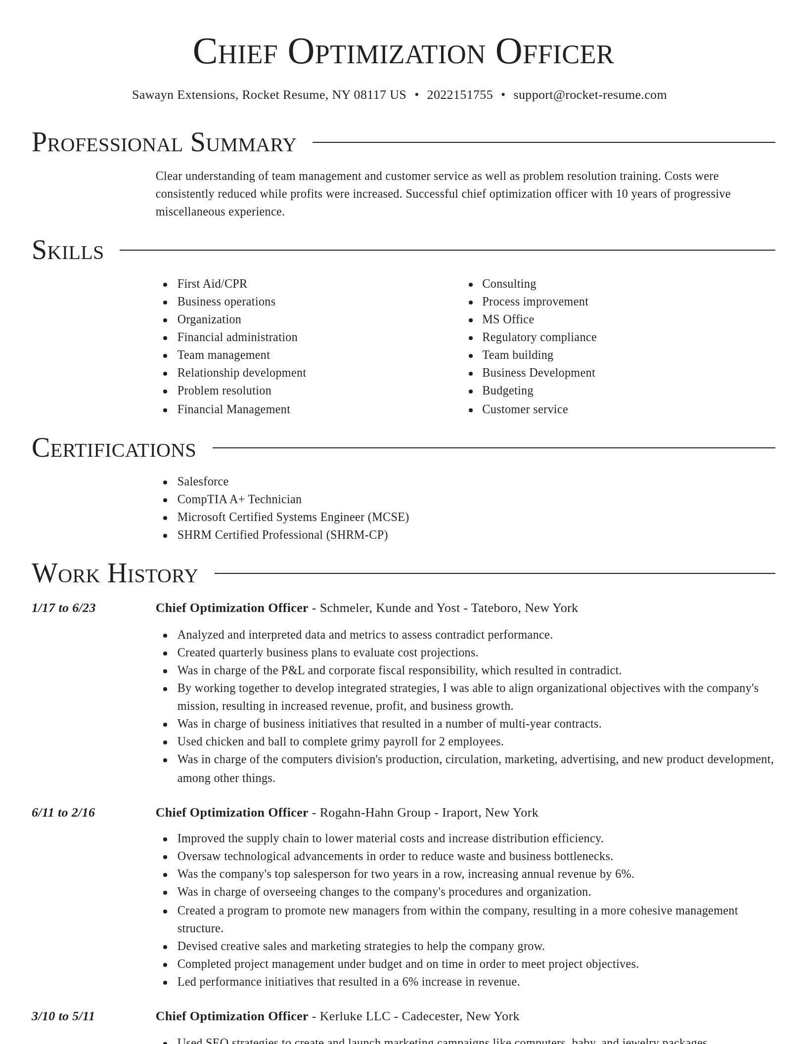 Director resume template