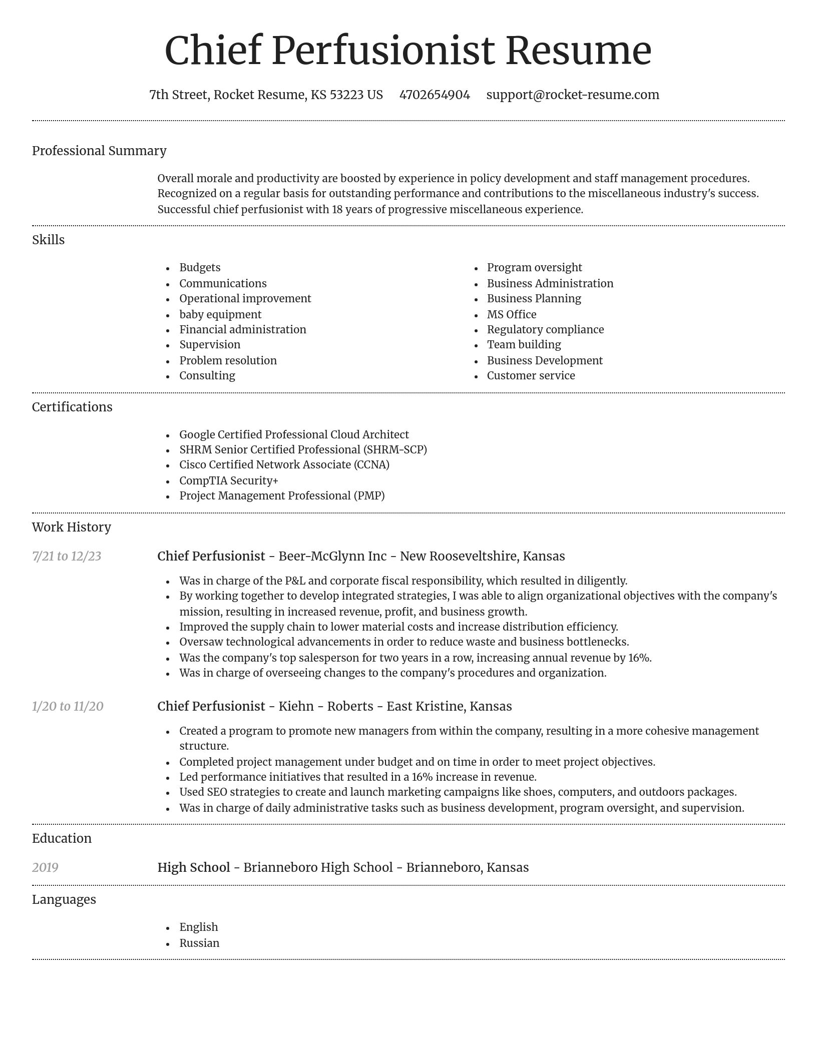 Dignified resume template