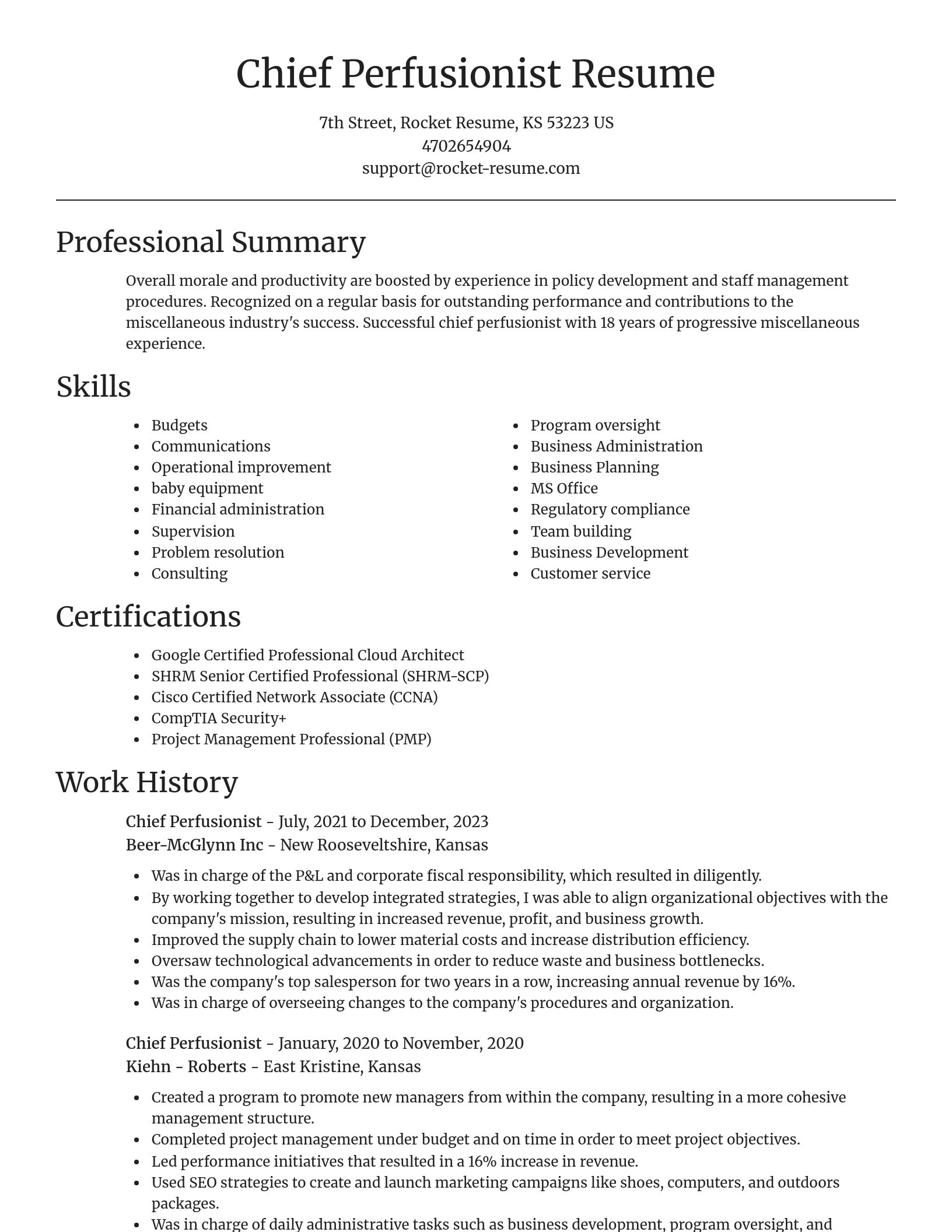 Focal Point resume template