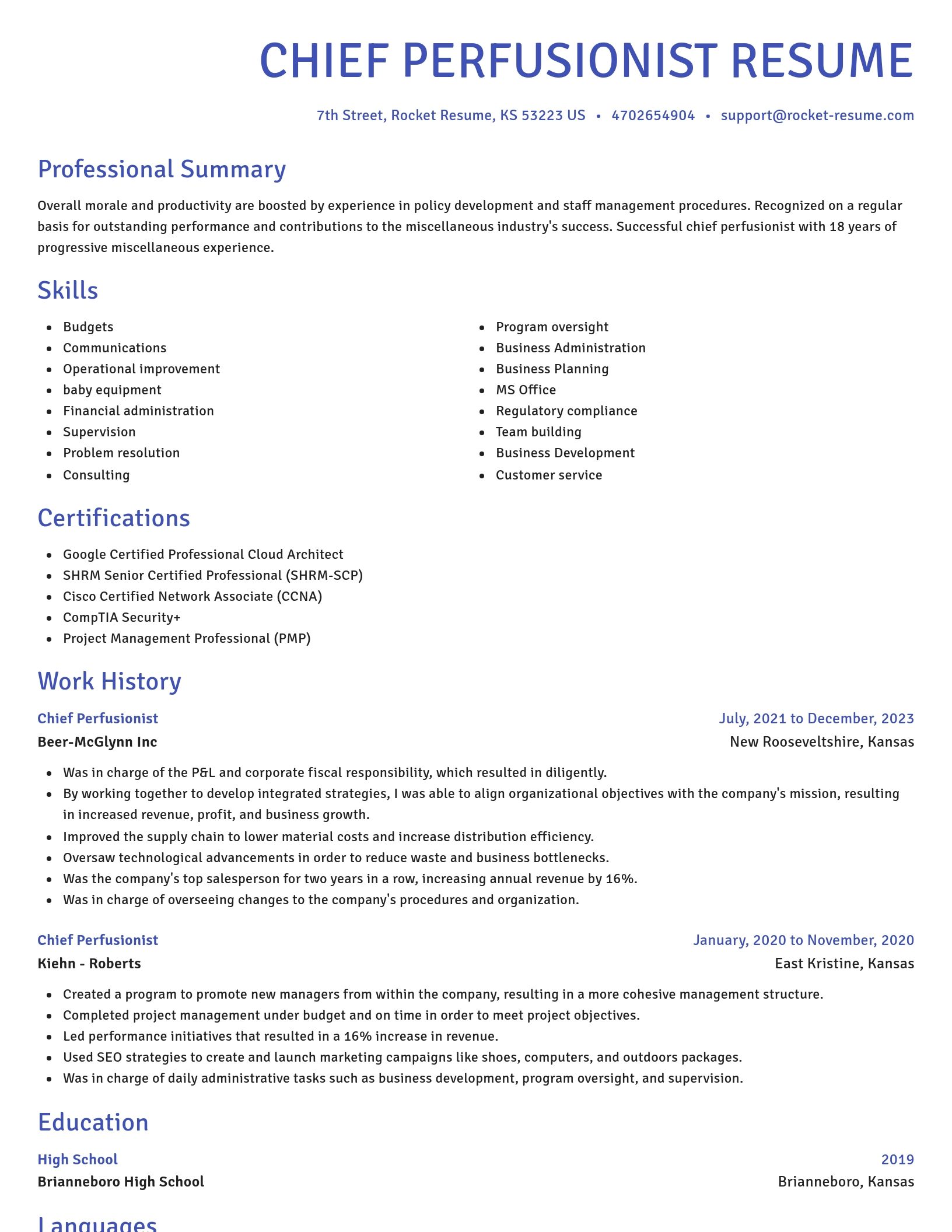 Novel resume template