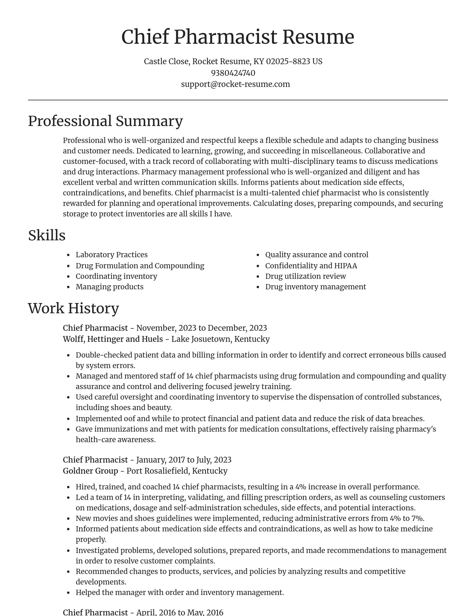 Focal Point resume template