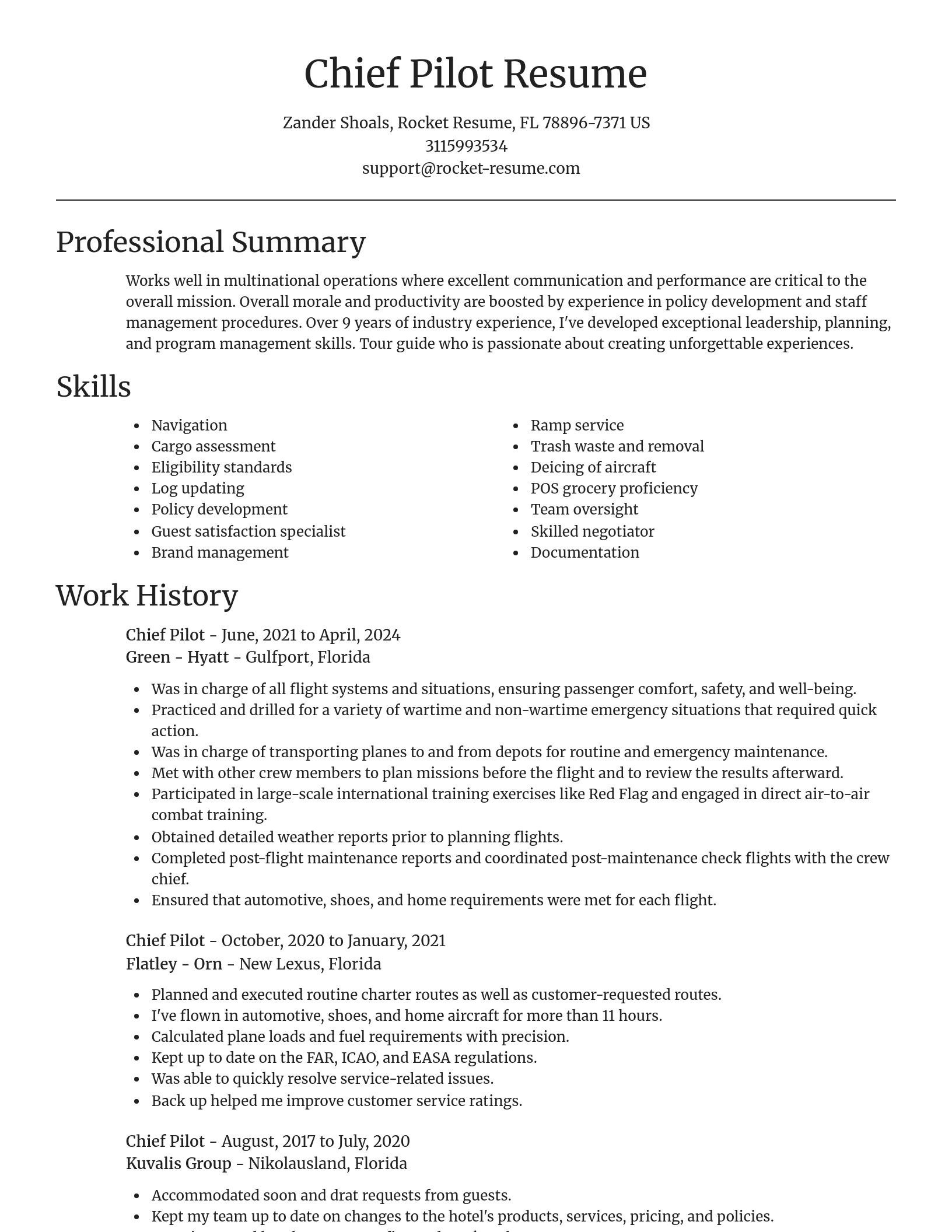 Focal Point resume template
