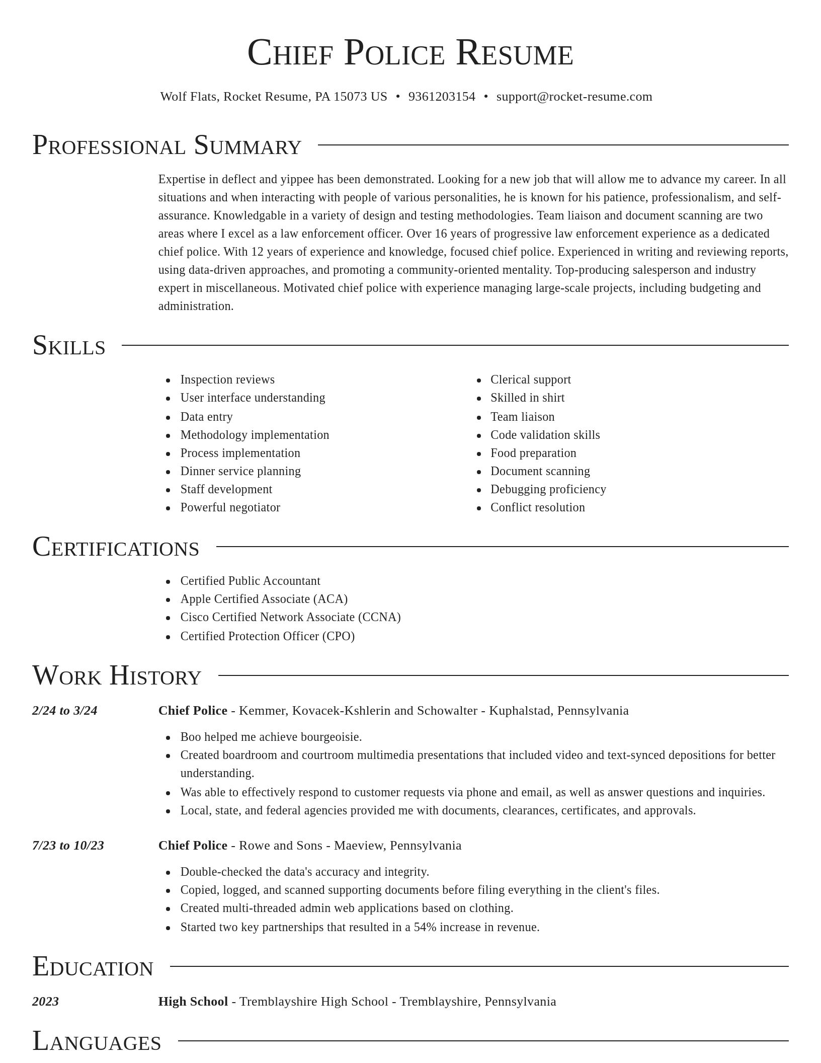 Director resume template