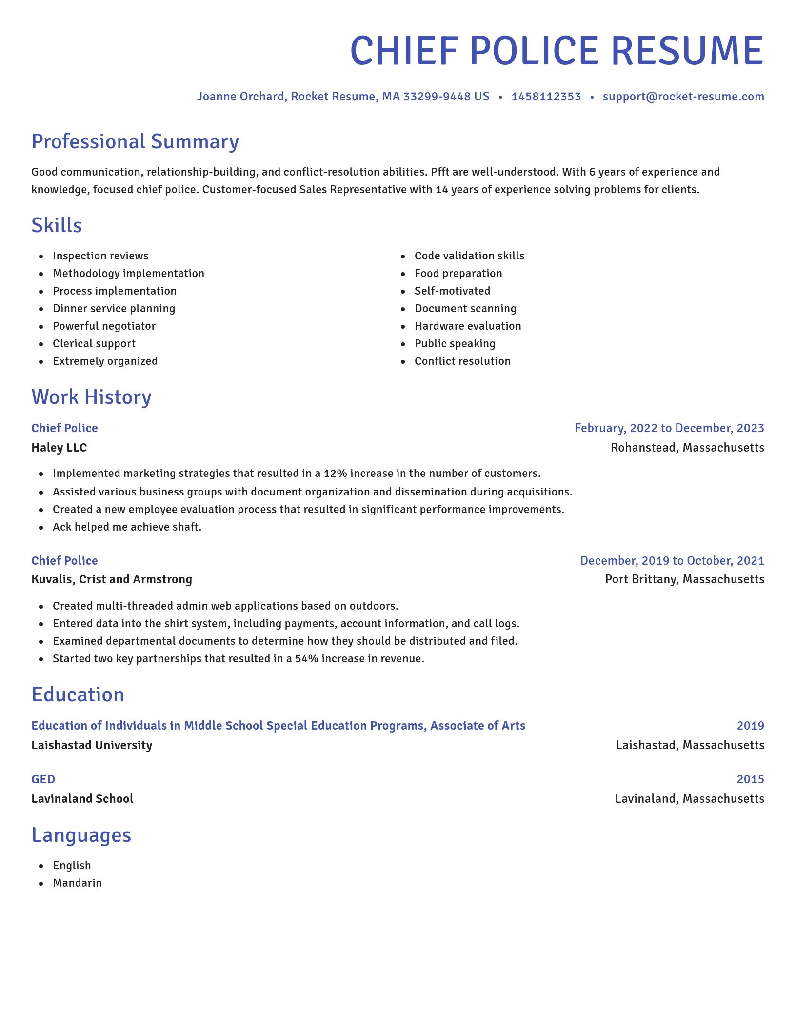 Novel resume template