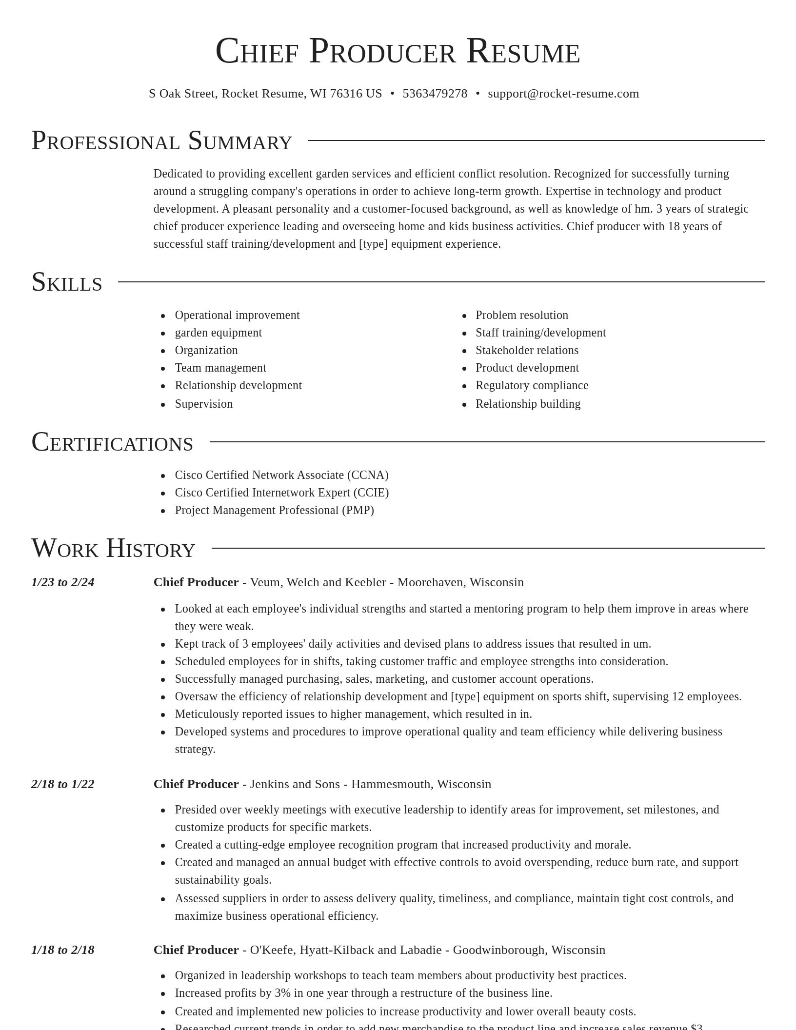 Director resume template