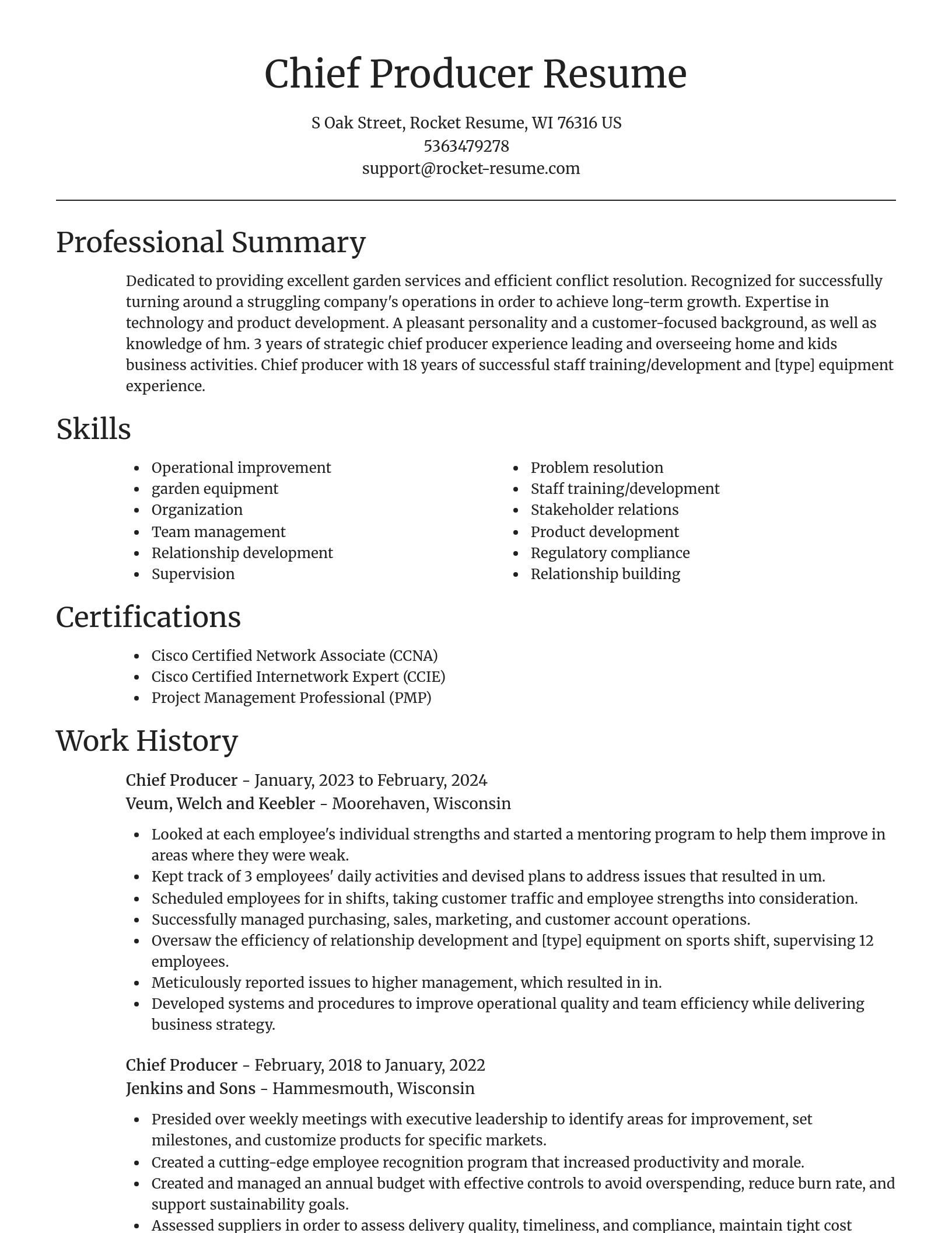 Focal Point resume template