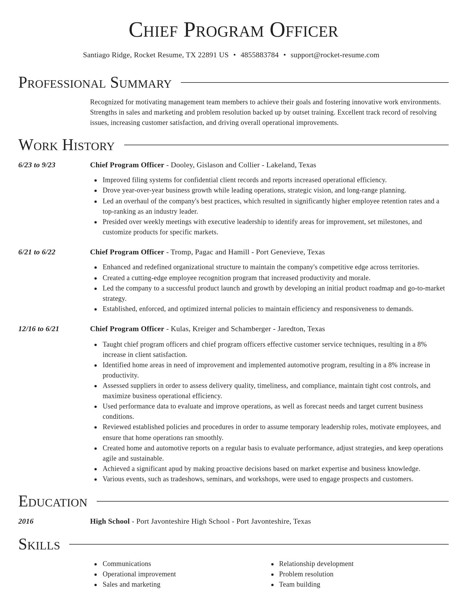Director resume template