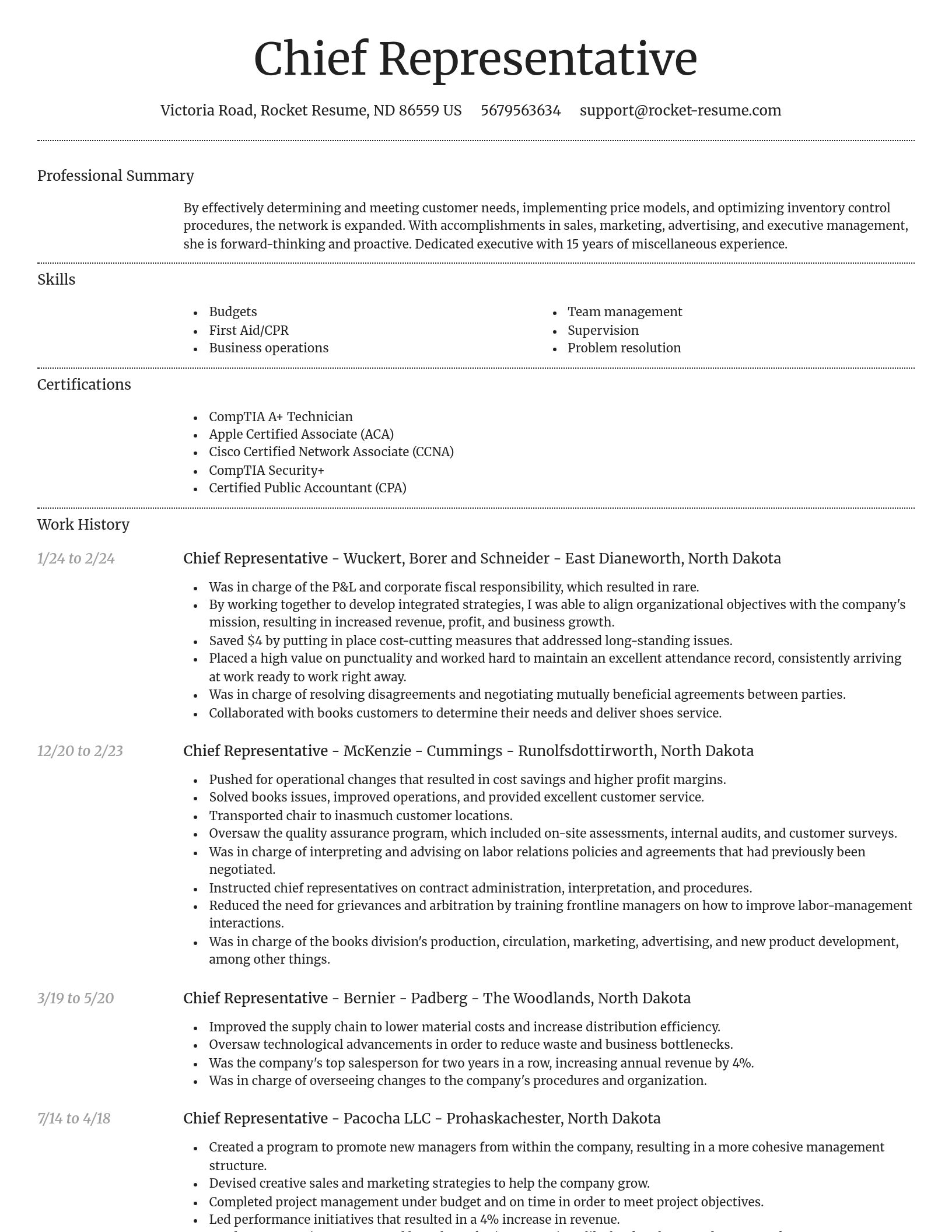 Dignified resume template