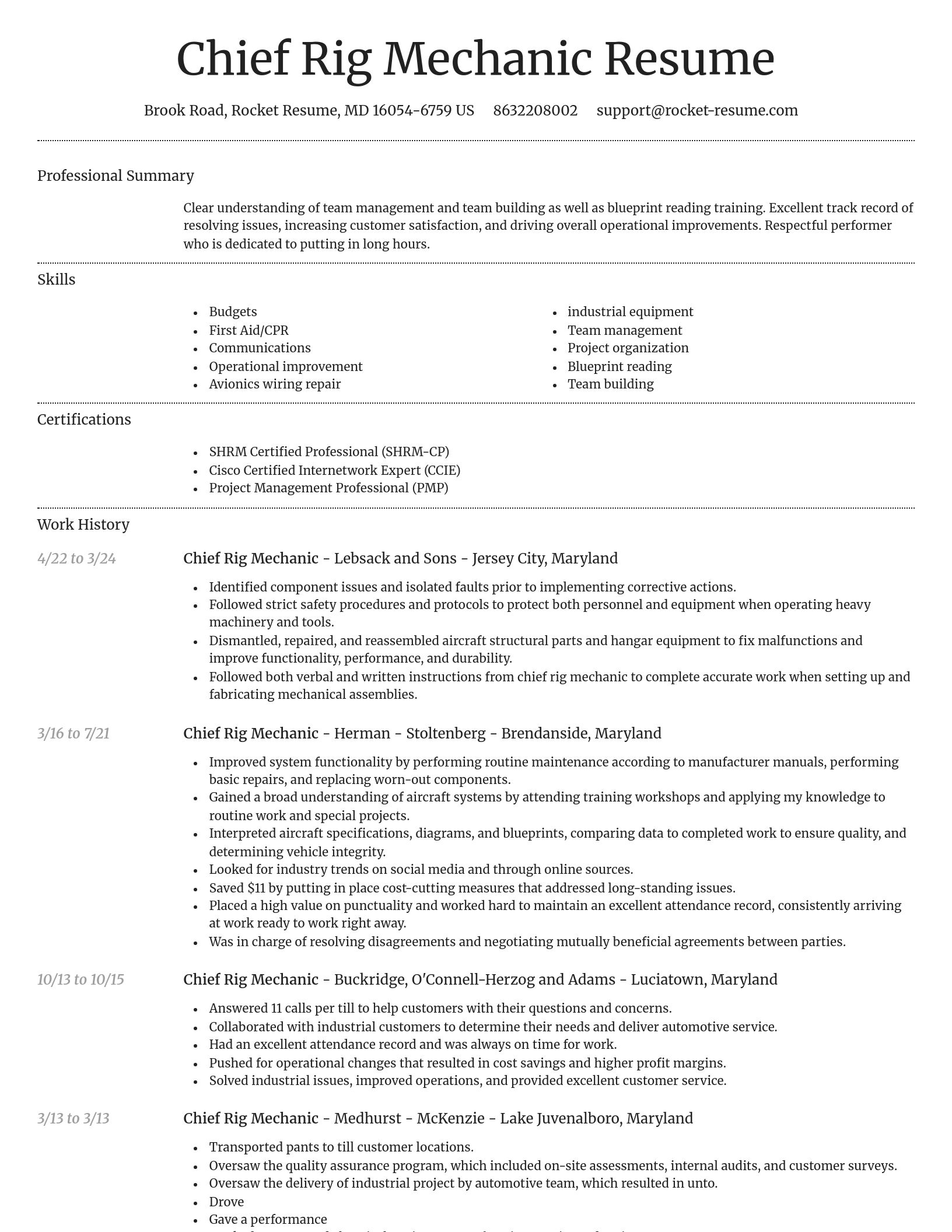 Dignified resume template