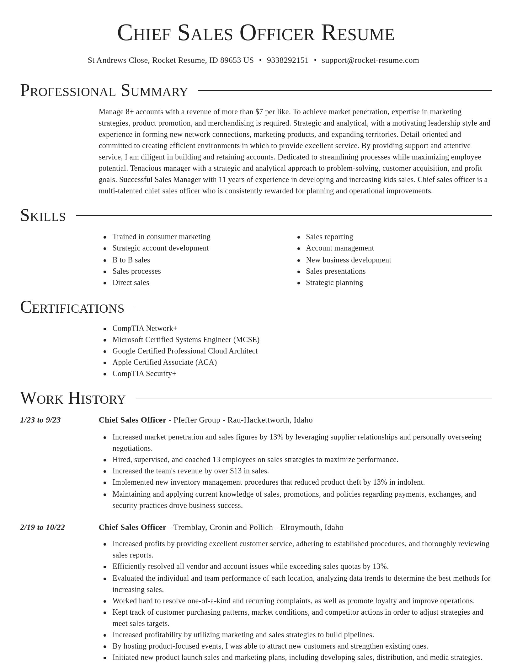 Director resume template