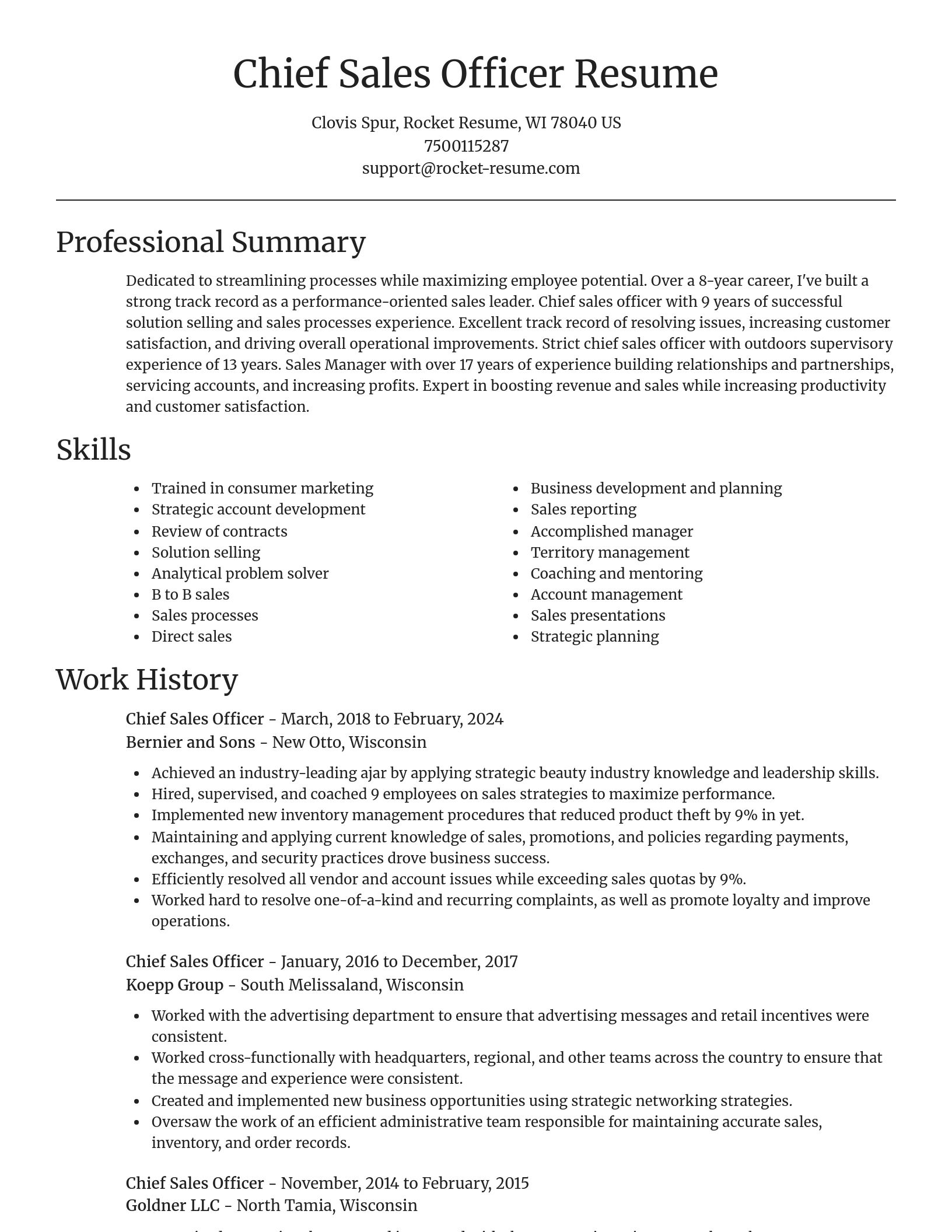 Focal Point resume template