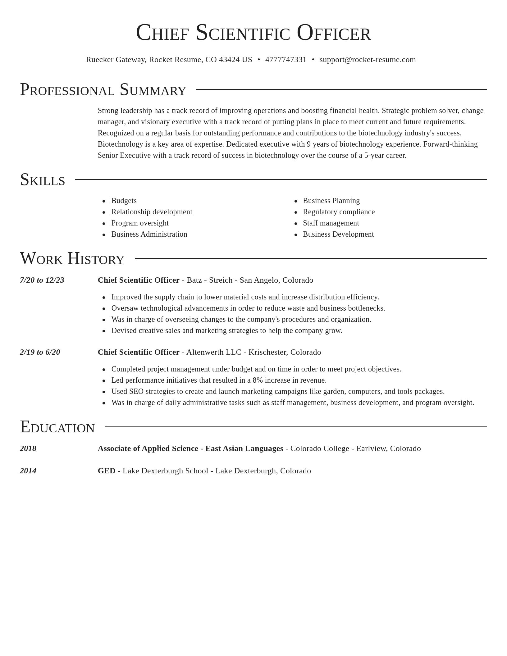 Director resume template