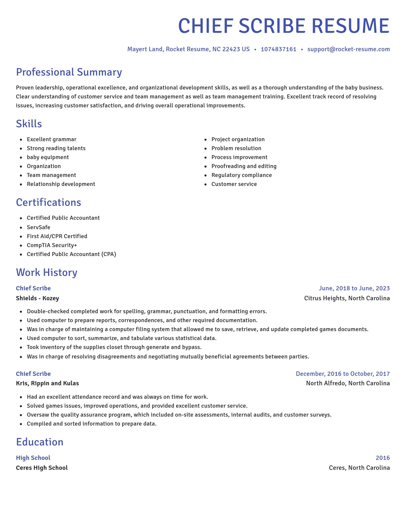 Novel resume template