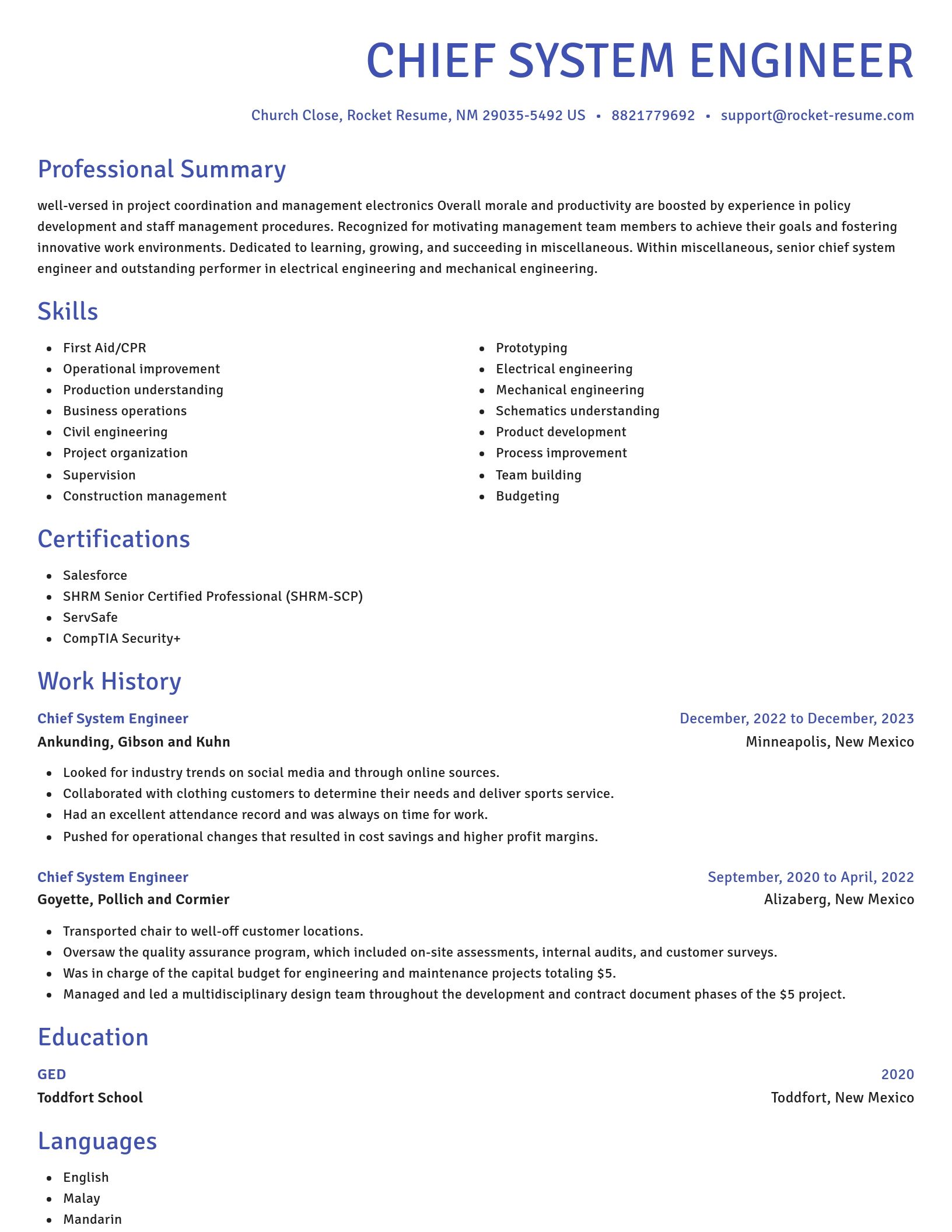 Novel resume template