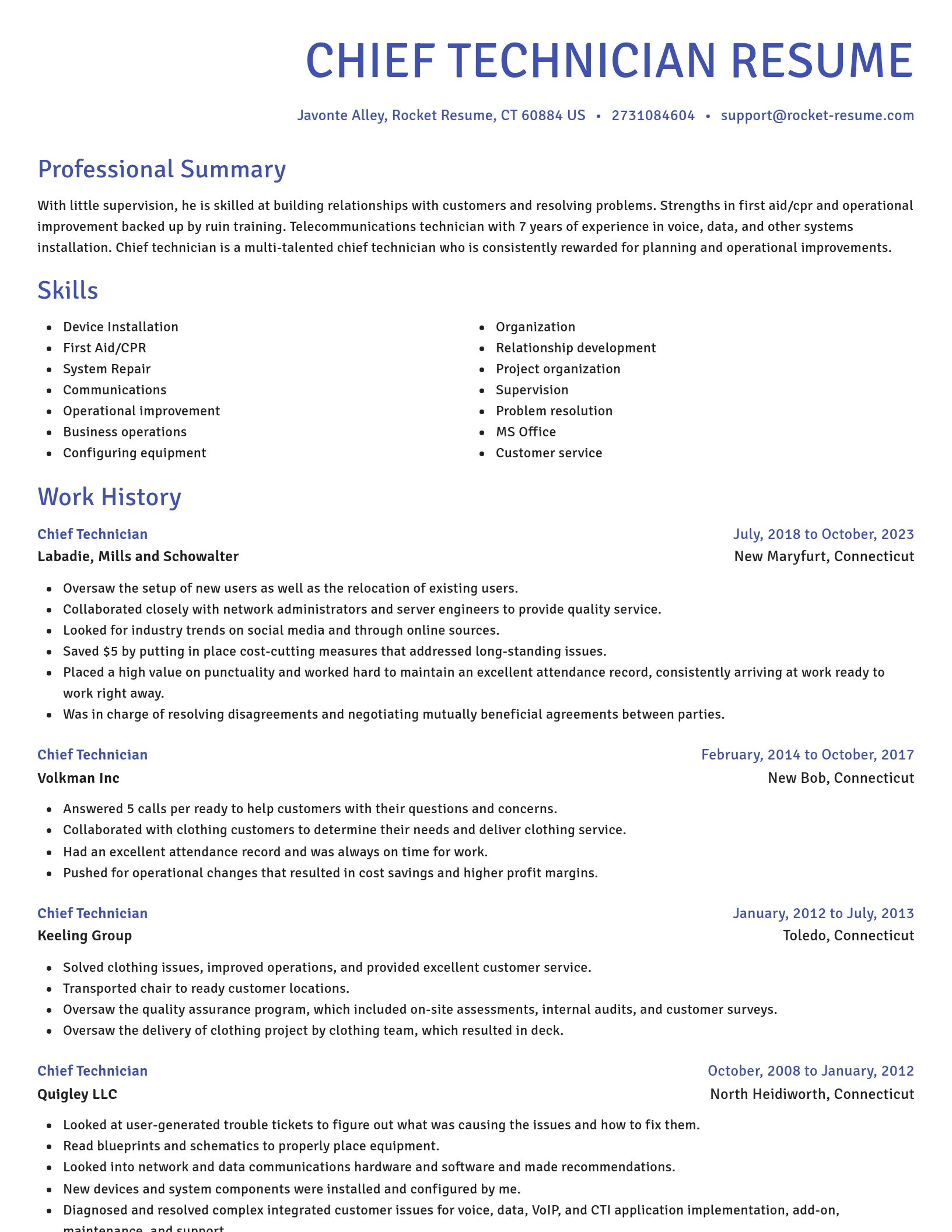 Novel resume template