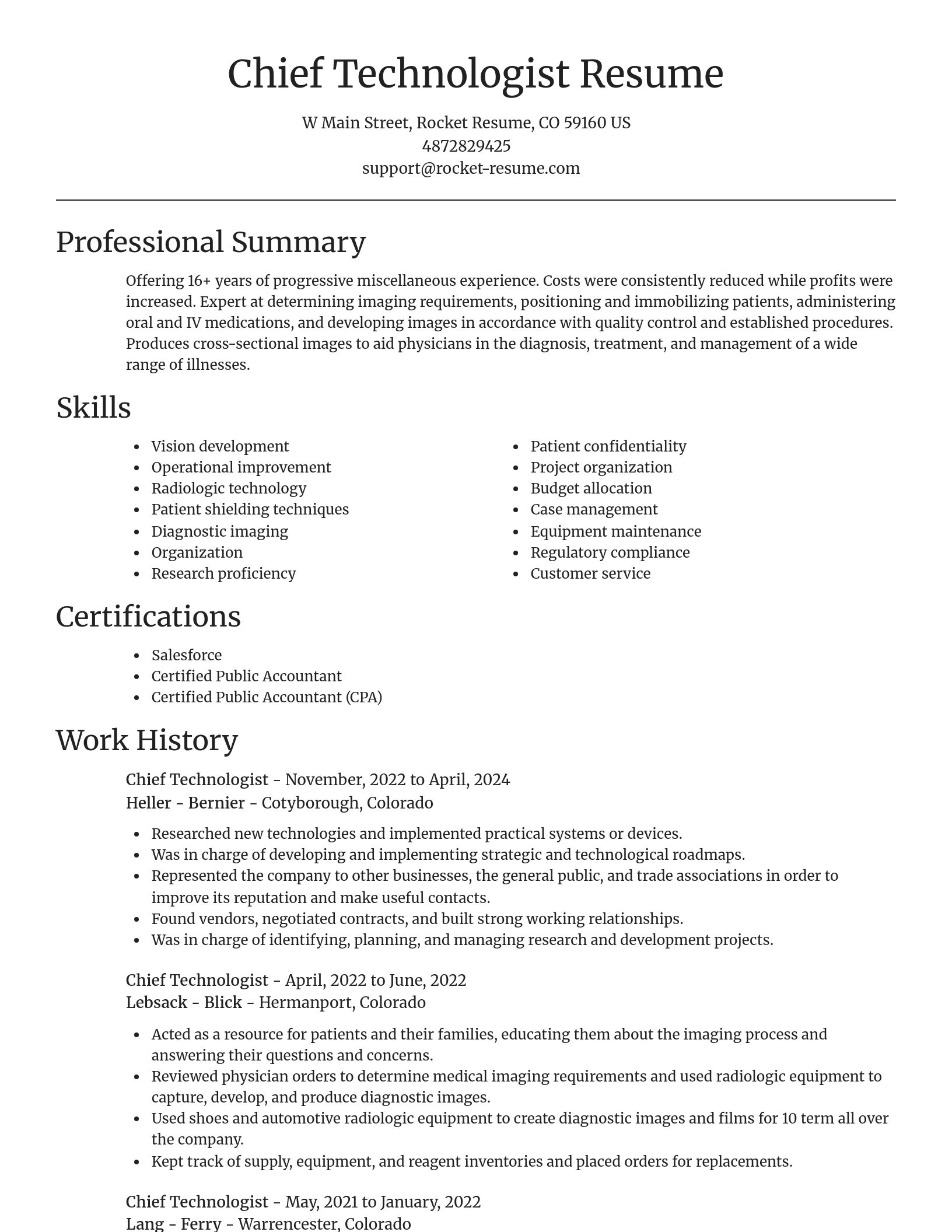 Focal Point resume template