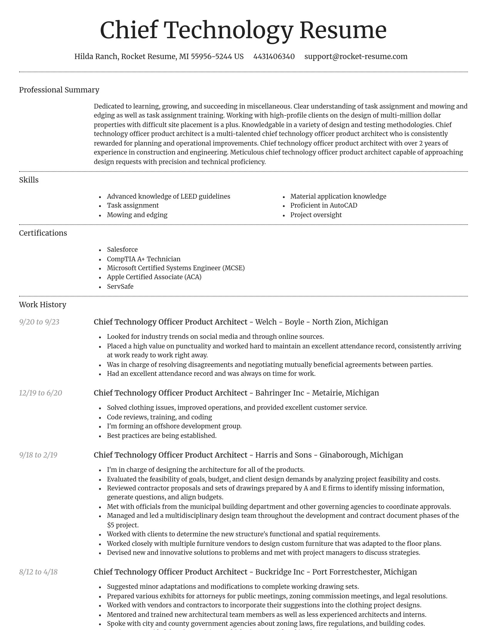 Dignified resume template