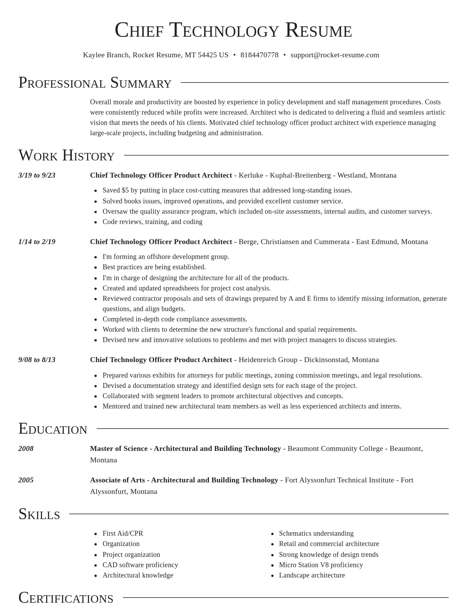 Director resume template
