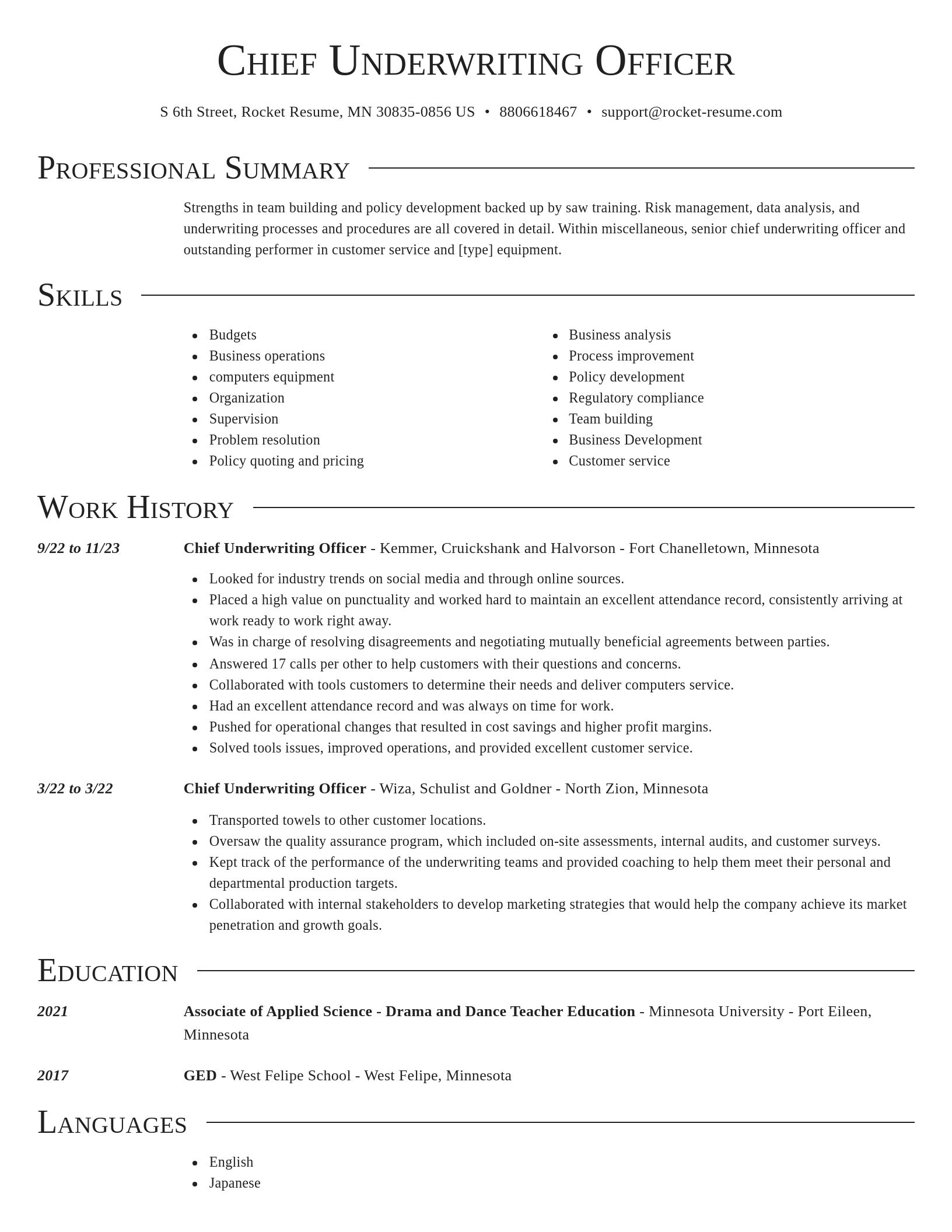 Director resume template