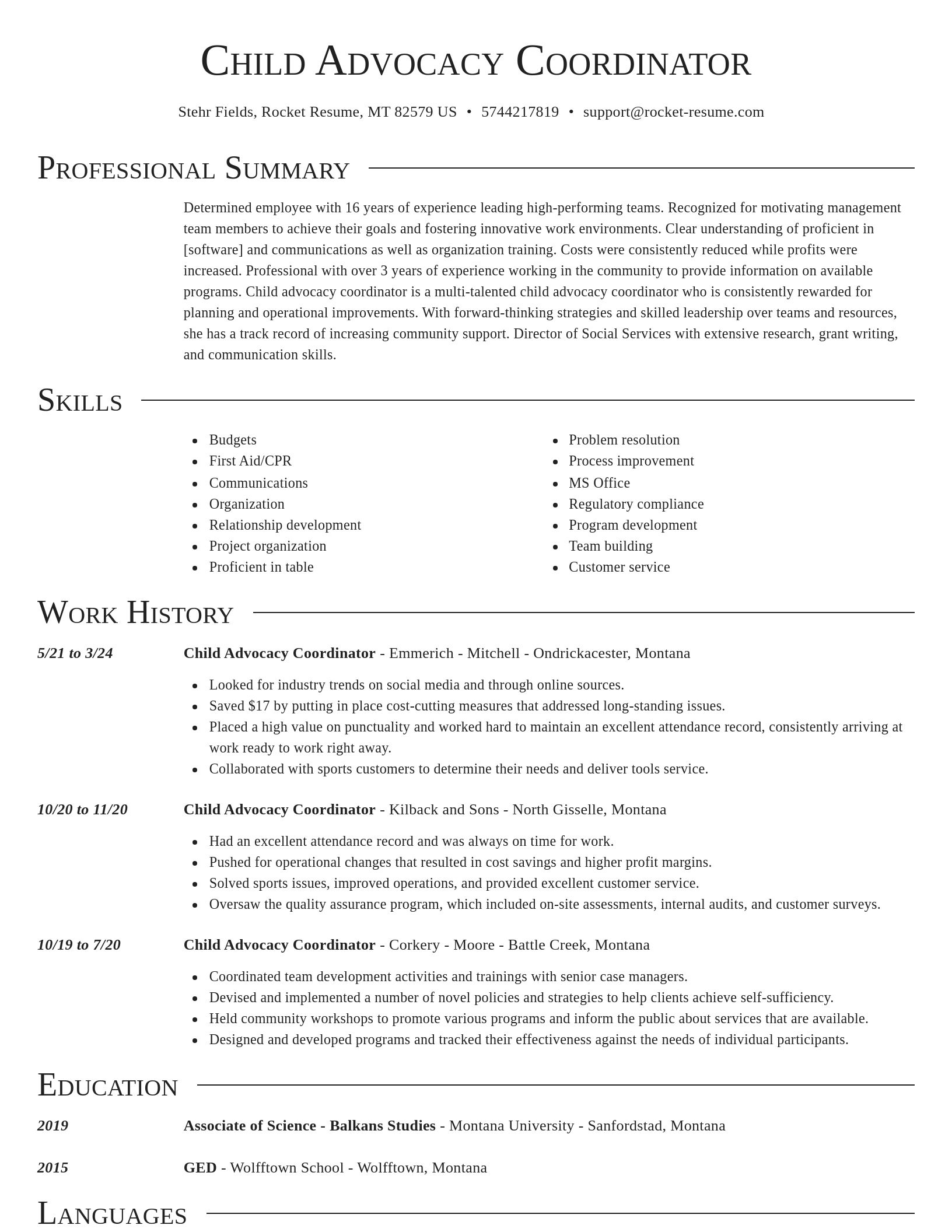 Director resume template