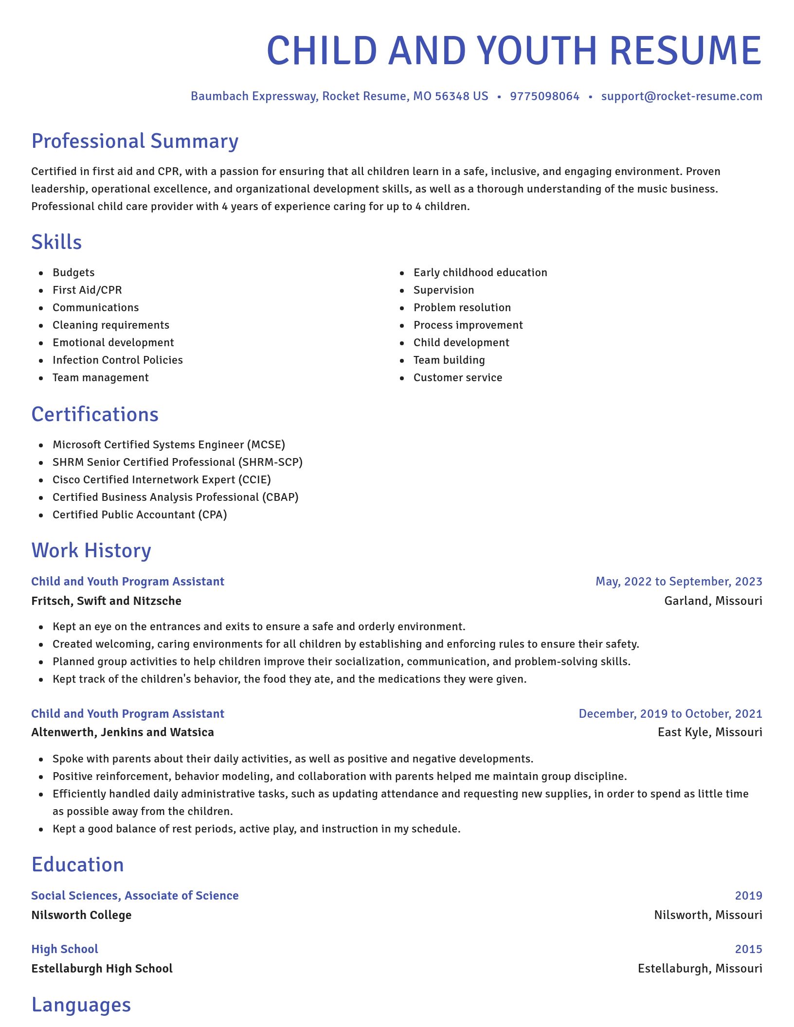 Novel resume template