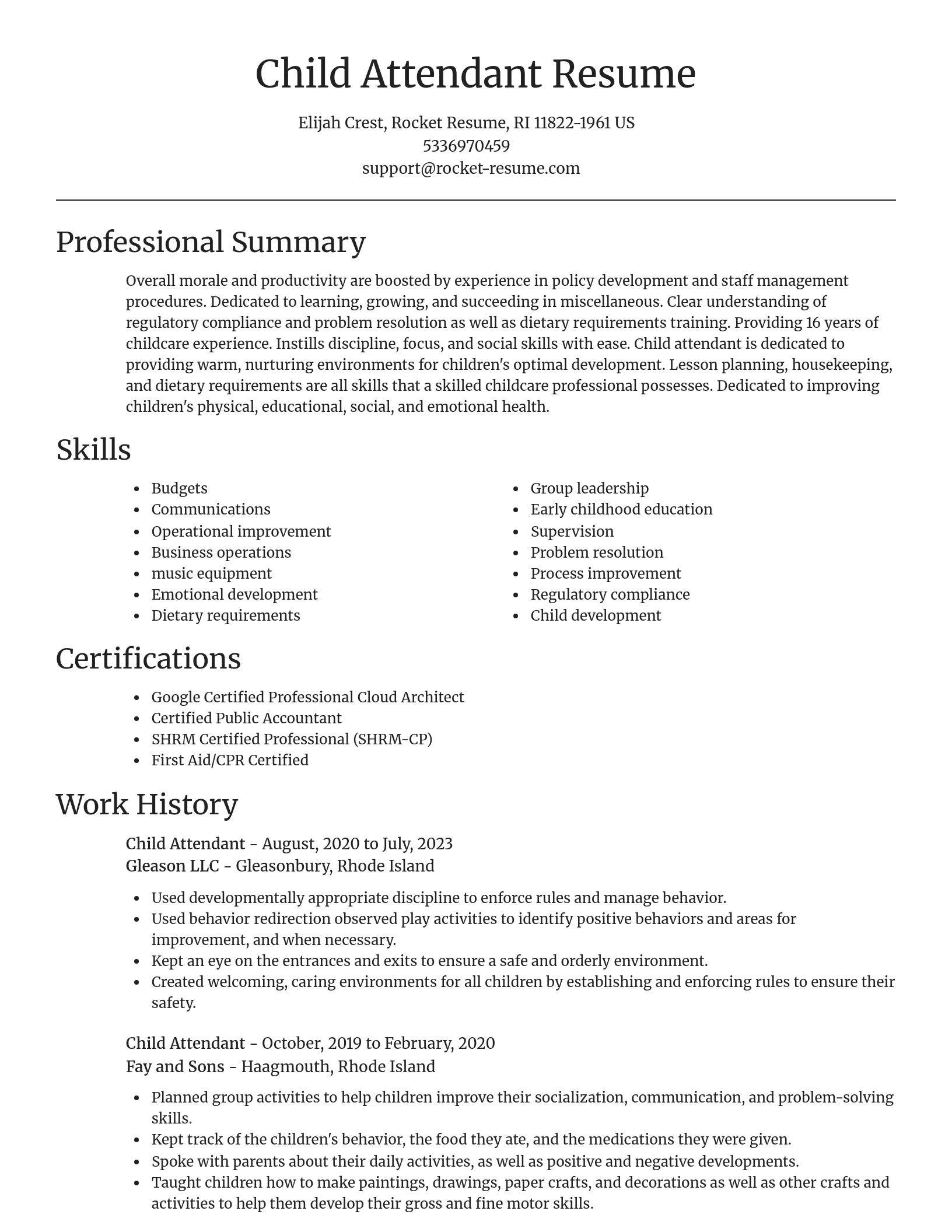 Focal Point resume template