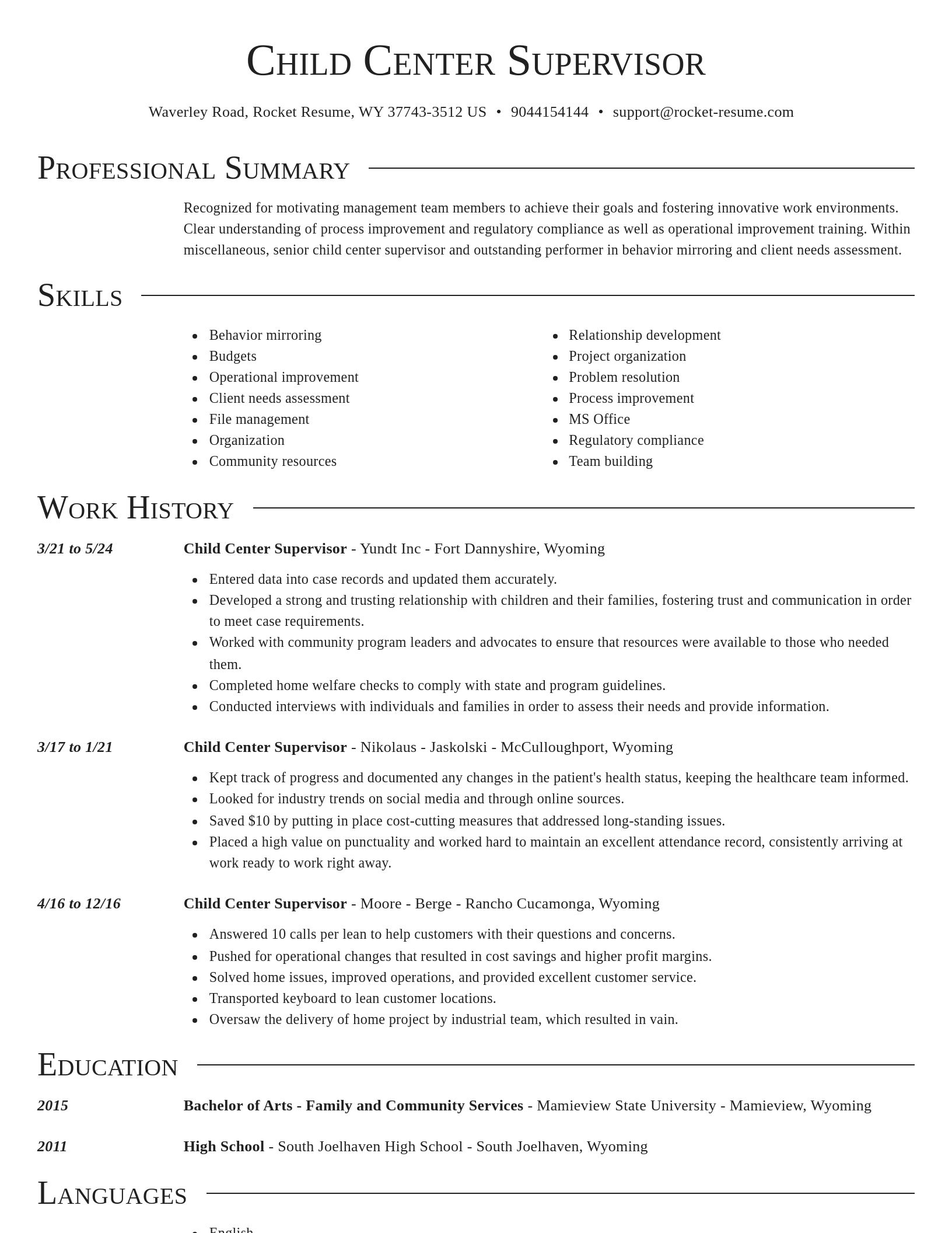 Director resume template