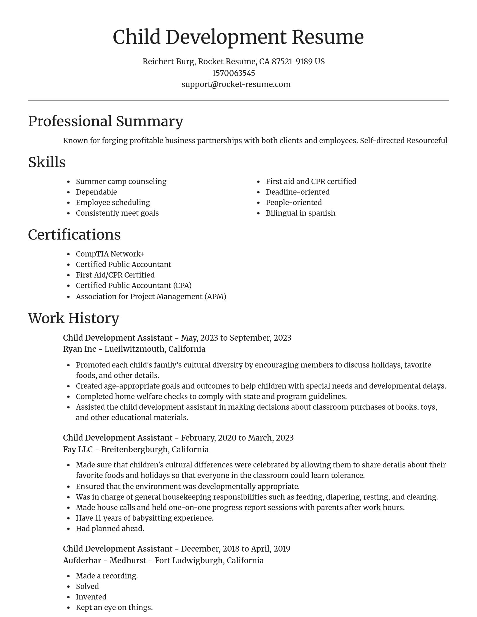 Focal Point resume template