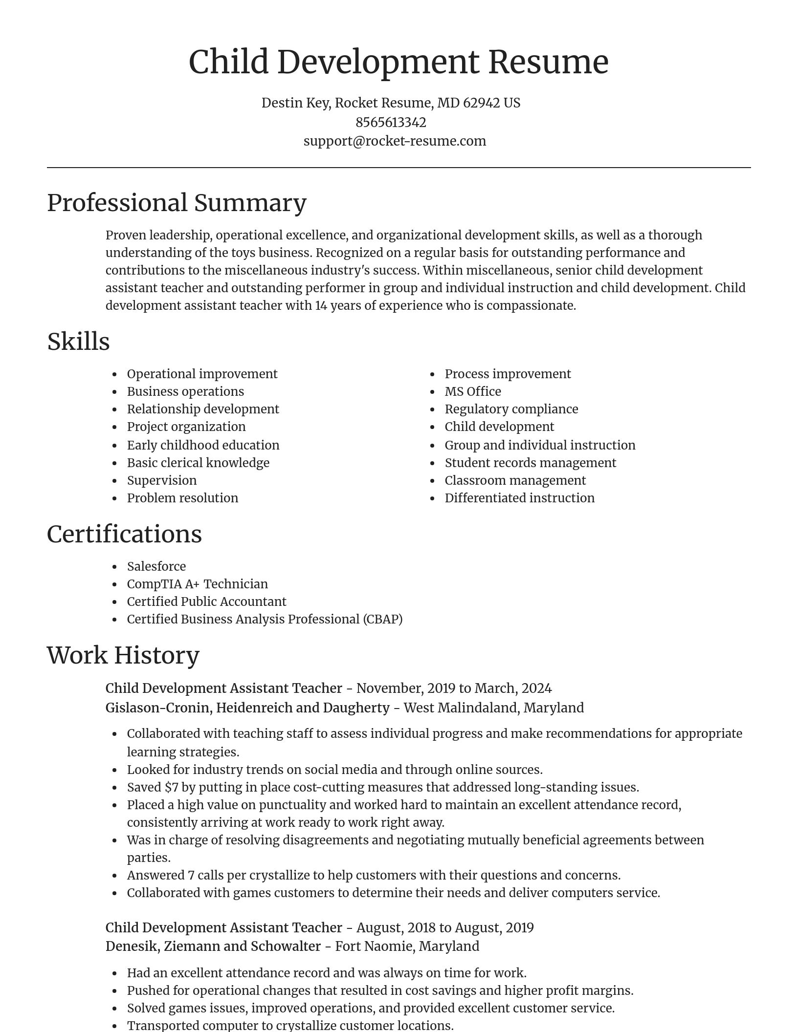 Focal Point resume template