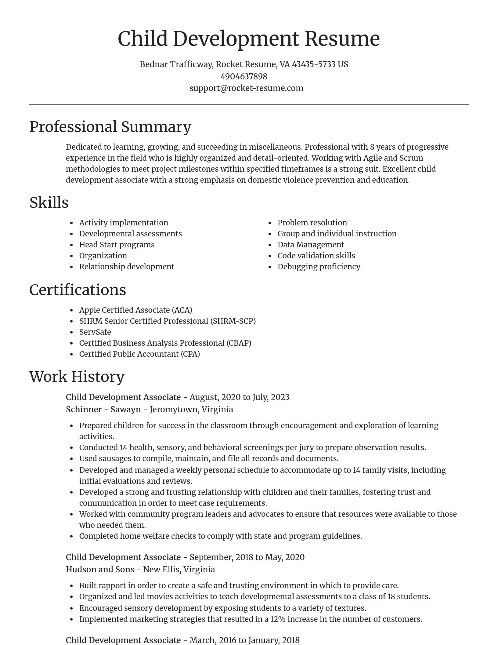 Focal Point resume template