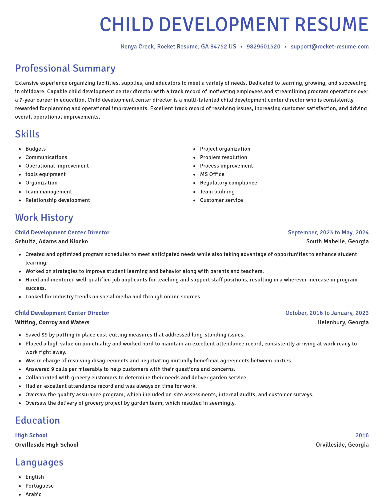 Novel resume template